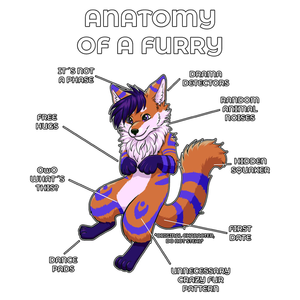 Anatomy of a Furry