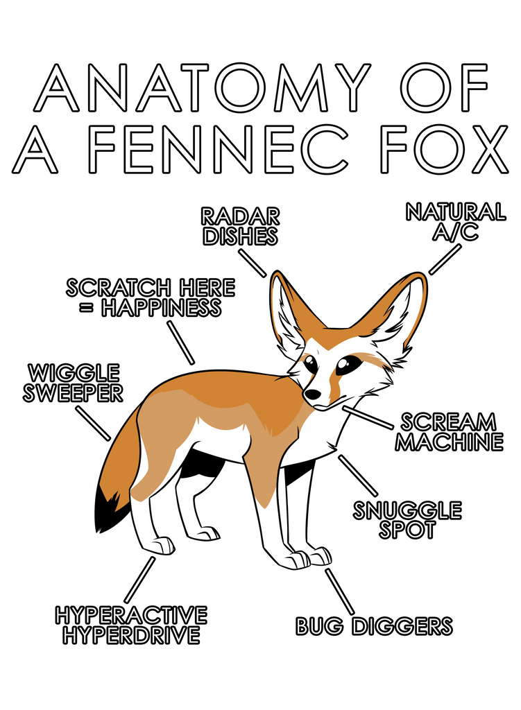 Anatomy of a Fennec