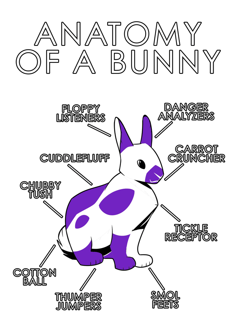 Bunny Purple