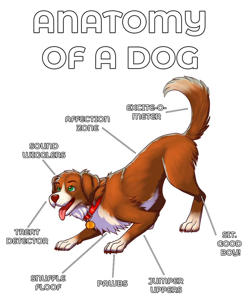 Anatomy of a Dog