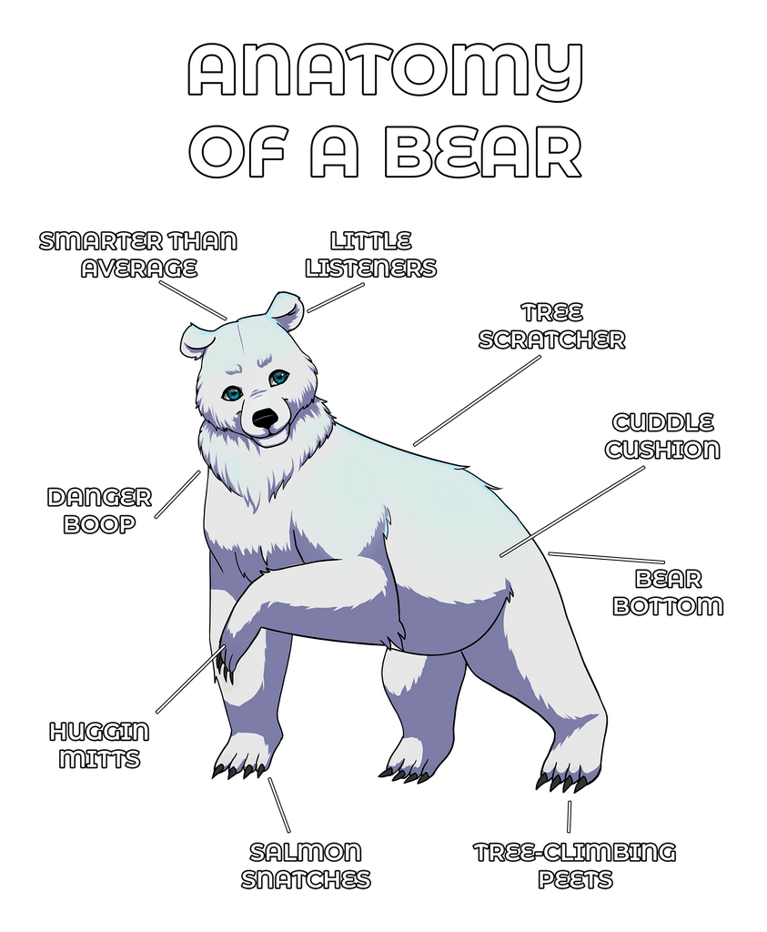 Bear White
