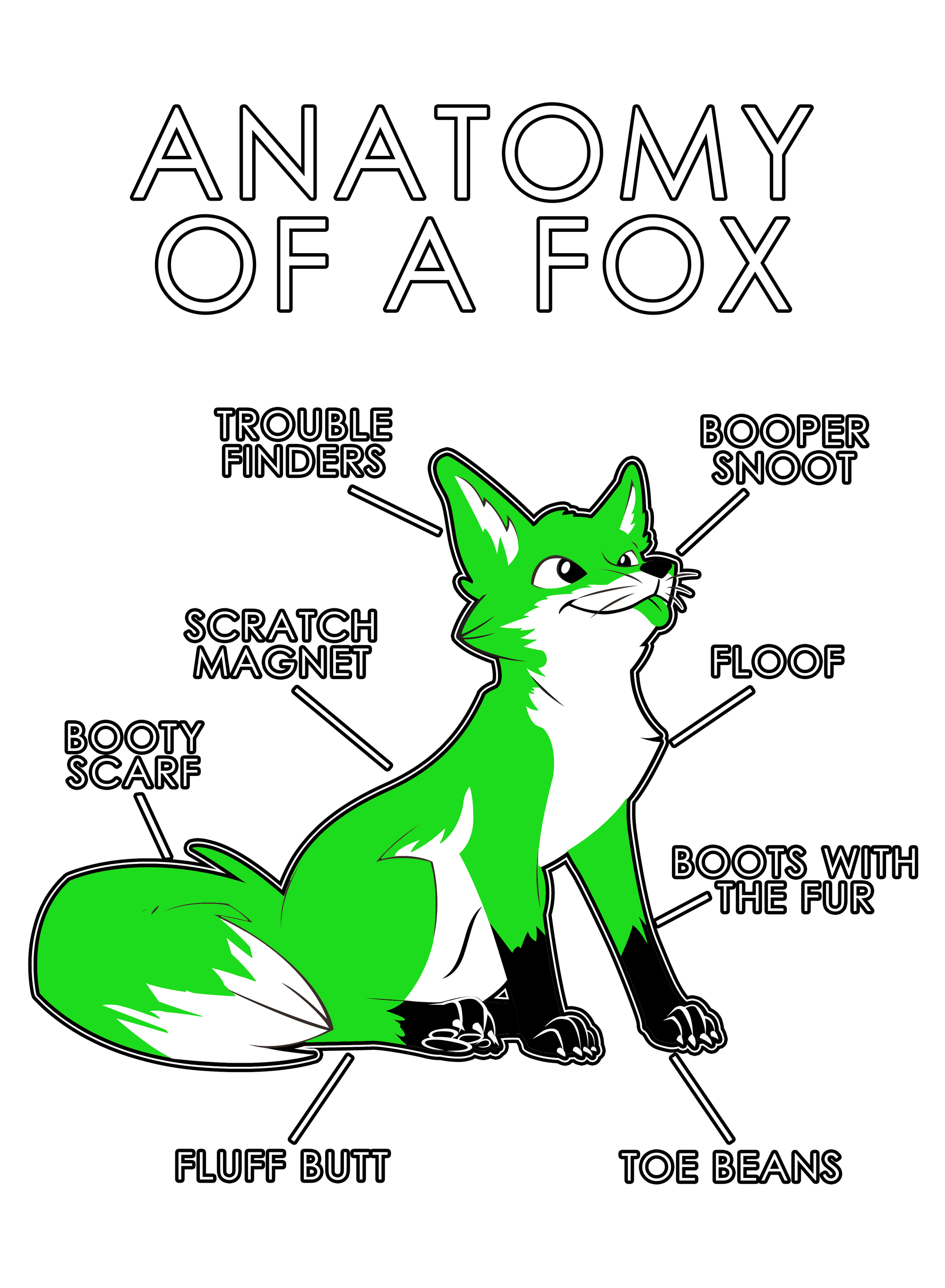Anatomy Series - Gen 1 - Anatomy of a Fox - Green