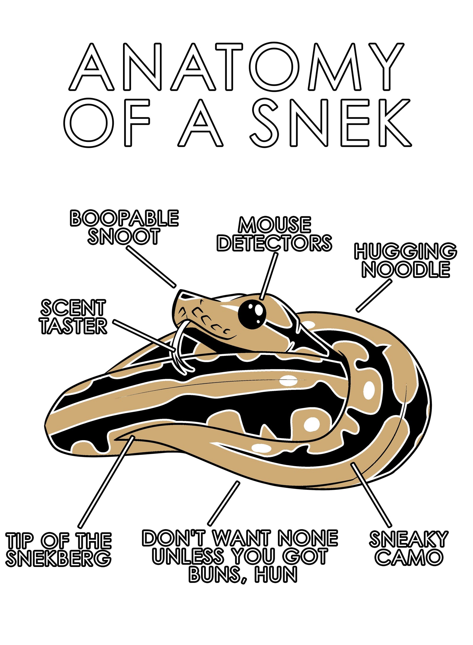Anatomy Series - Gen 1 - Anatomy of a Snek