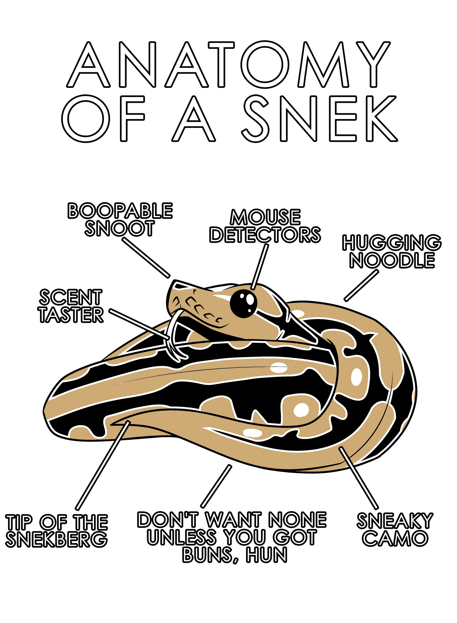 Anatomy Series - Gen 1 - Anatomy of a Snek - Natural