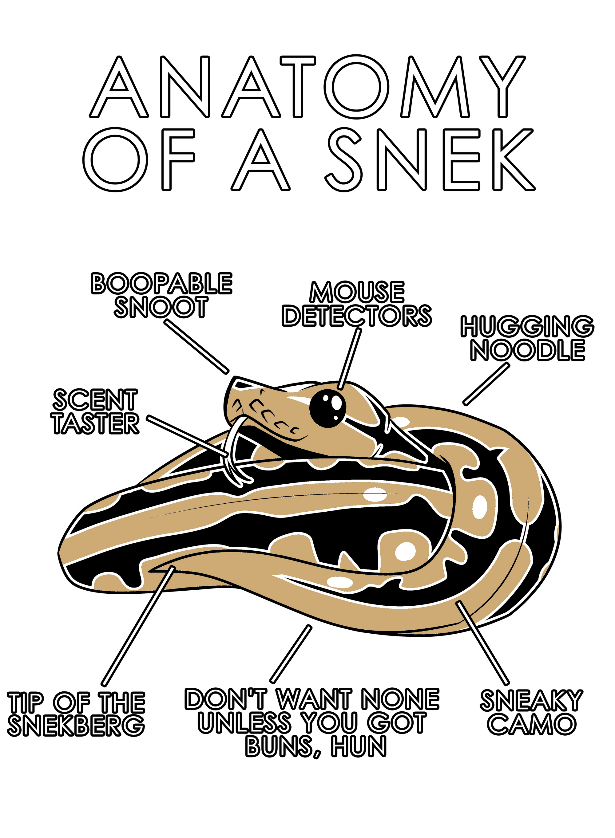 Anatomy Series - Gen 1 - Anatomy of a Snek - Natural