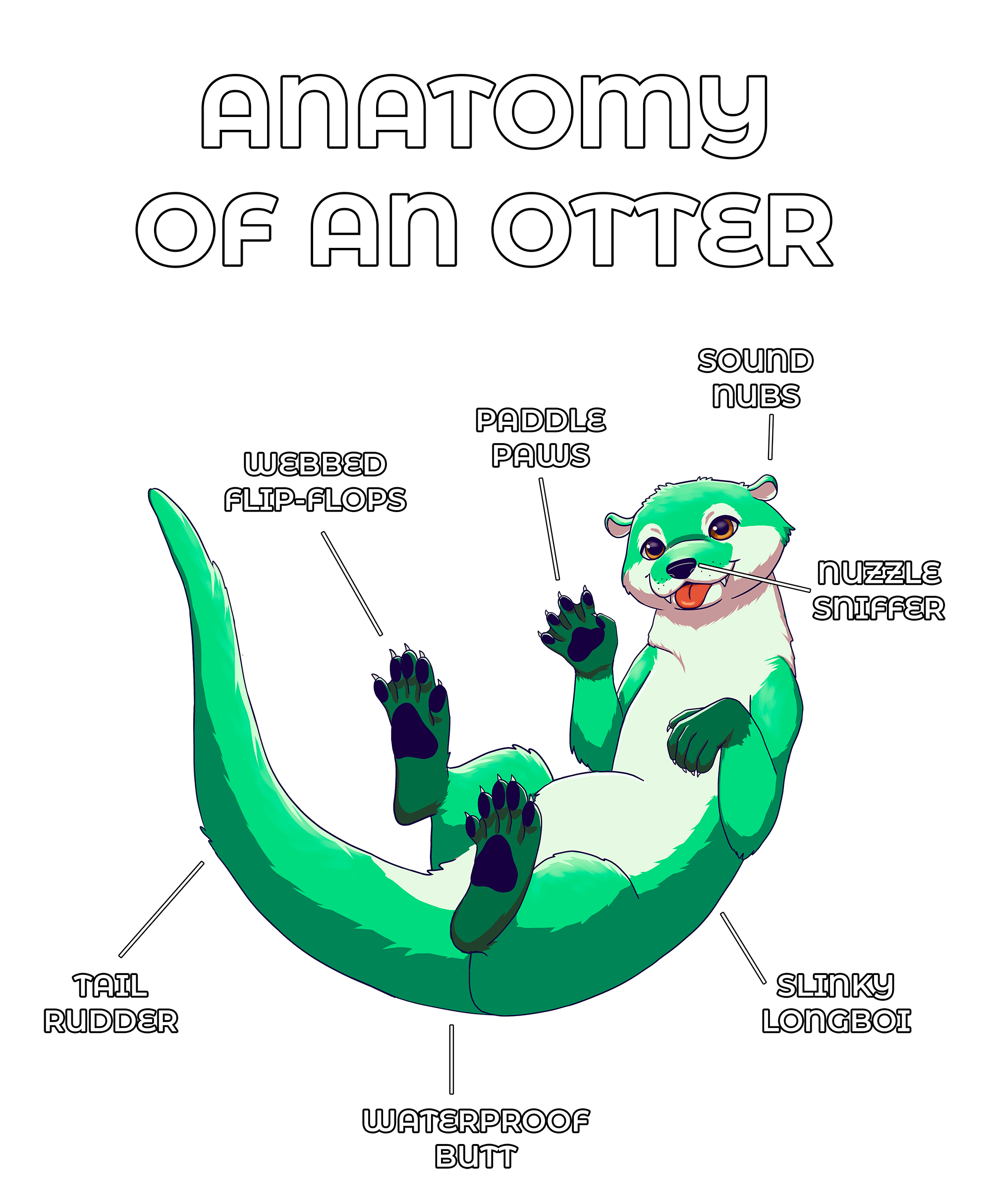 Anatomy Series - Gen 2 - Anatomy of an Otter - Green