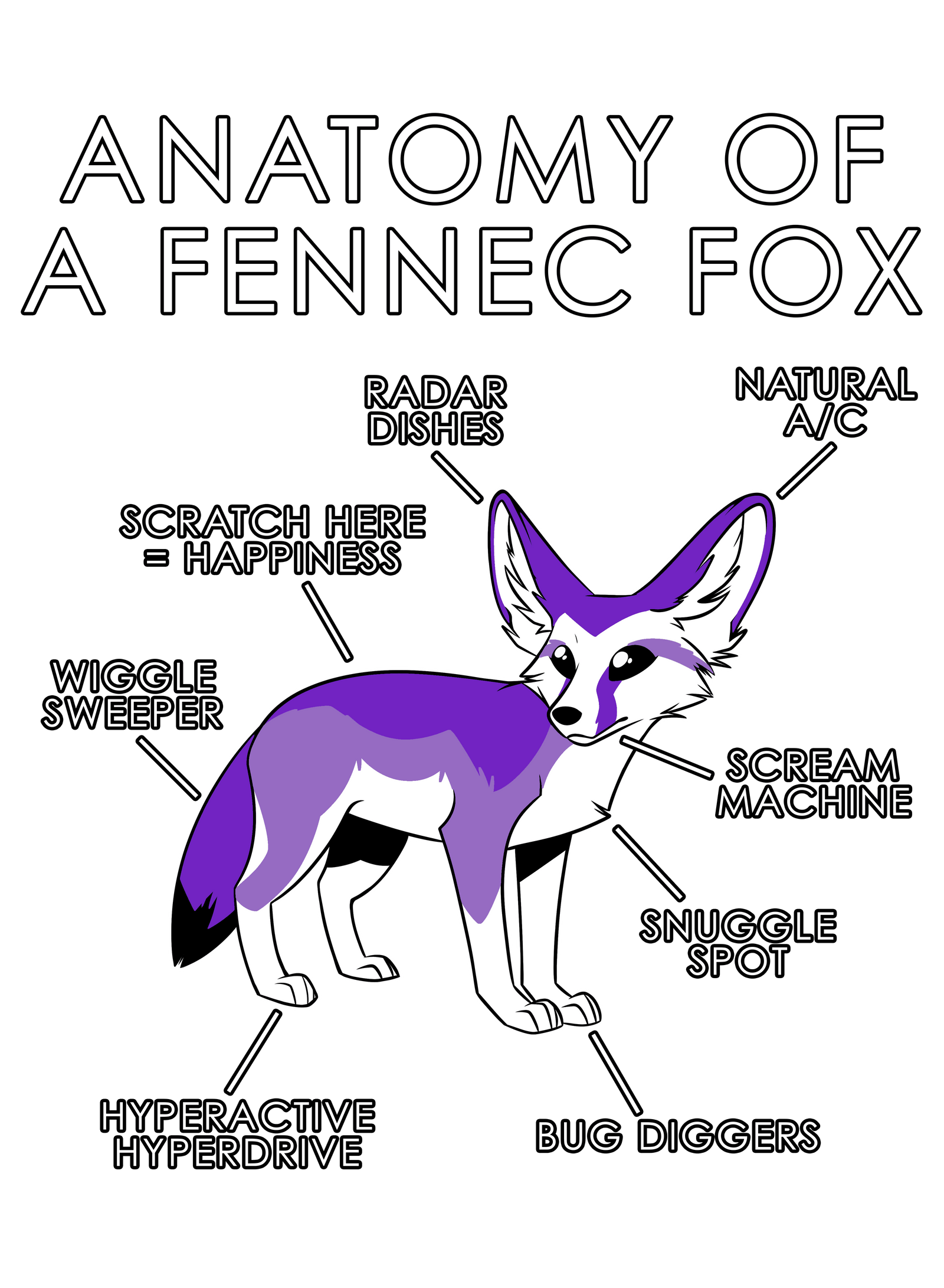 Anatomy Series - Gen 1 - Anatomy of a Fennec - Purple