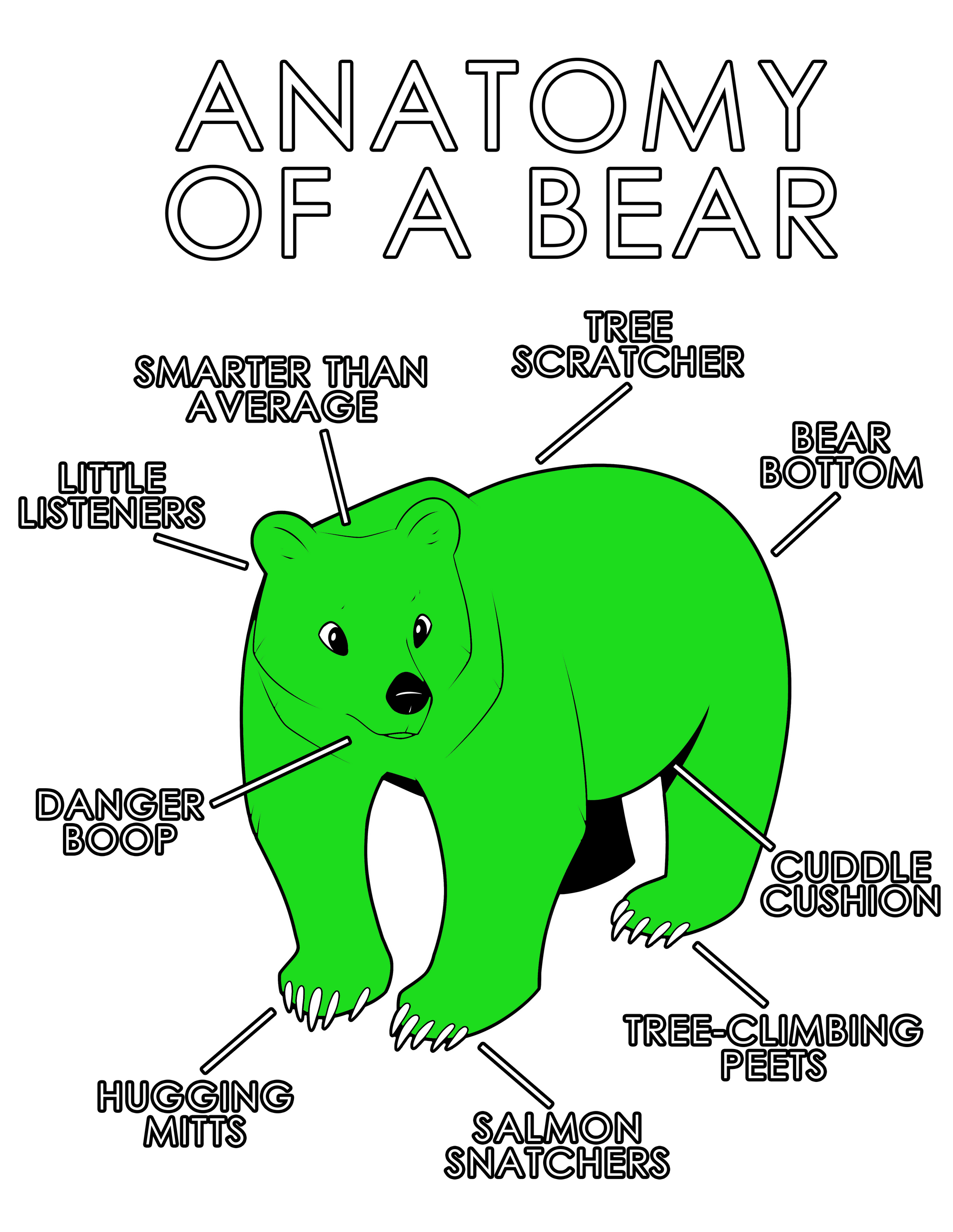 Anatomy Series - Gen 1 - Anatomy of a Bear - Green