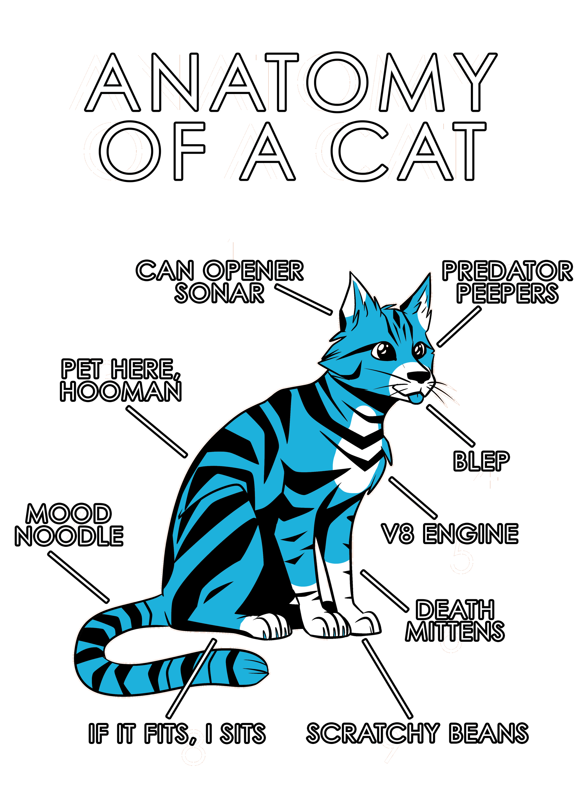 Anatomy Series - Gen 1 - Anatomy of a Cat - Light Blue