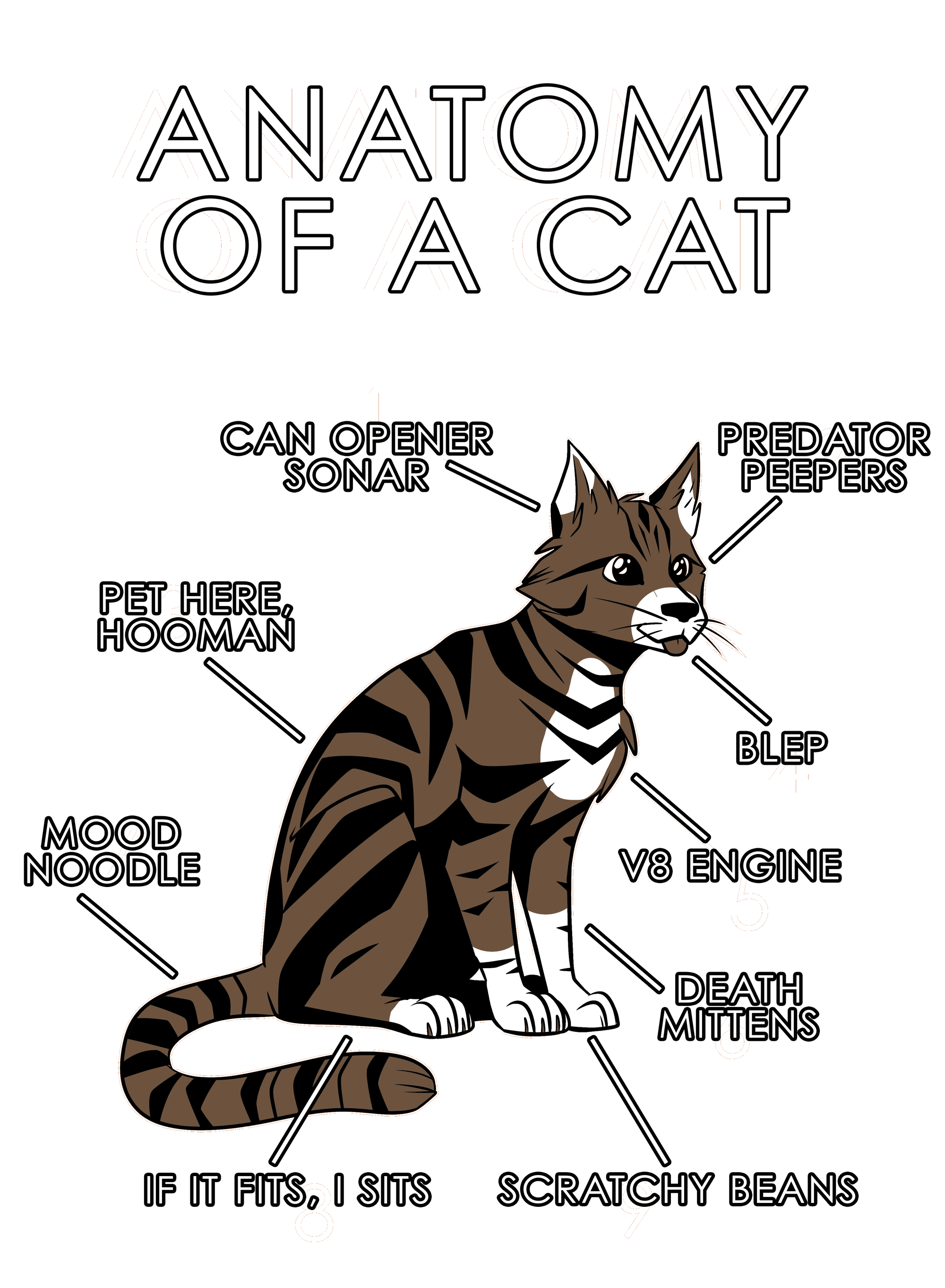 Anatomy Series - Gen 1 - Anatomy of a Cat - Natural