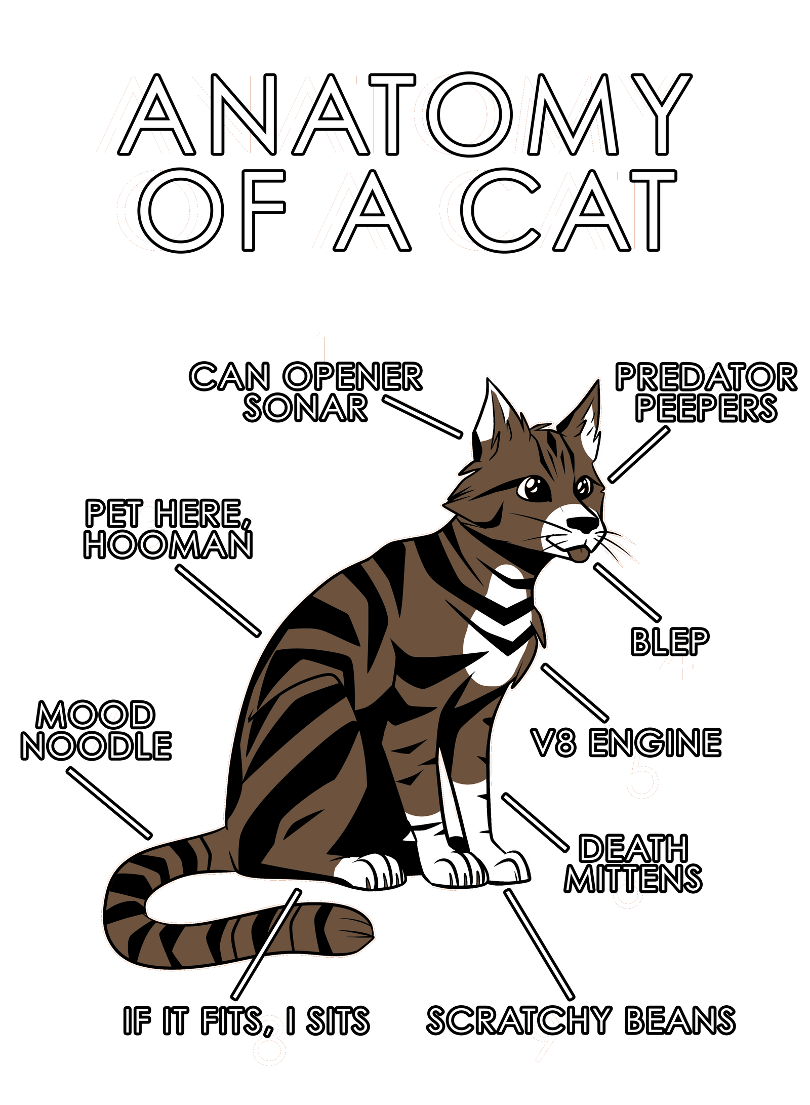 Anatomy Series - Gen 1 - Anatomy of a Cat