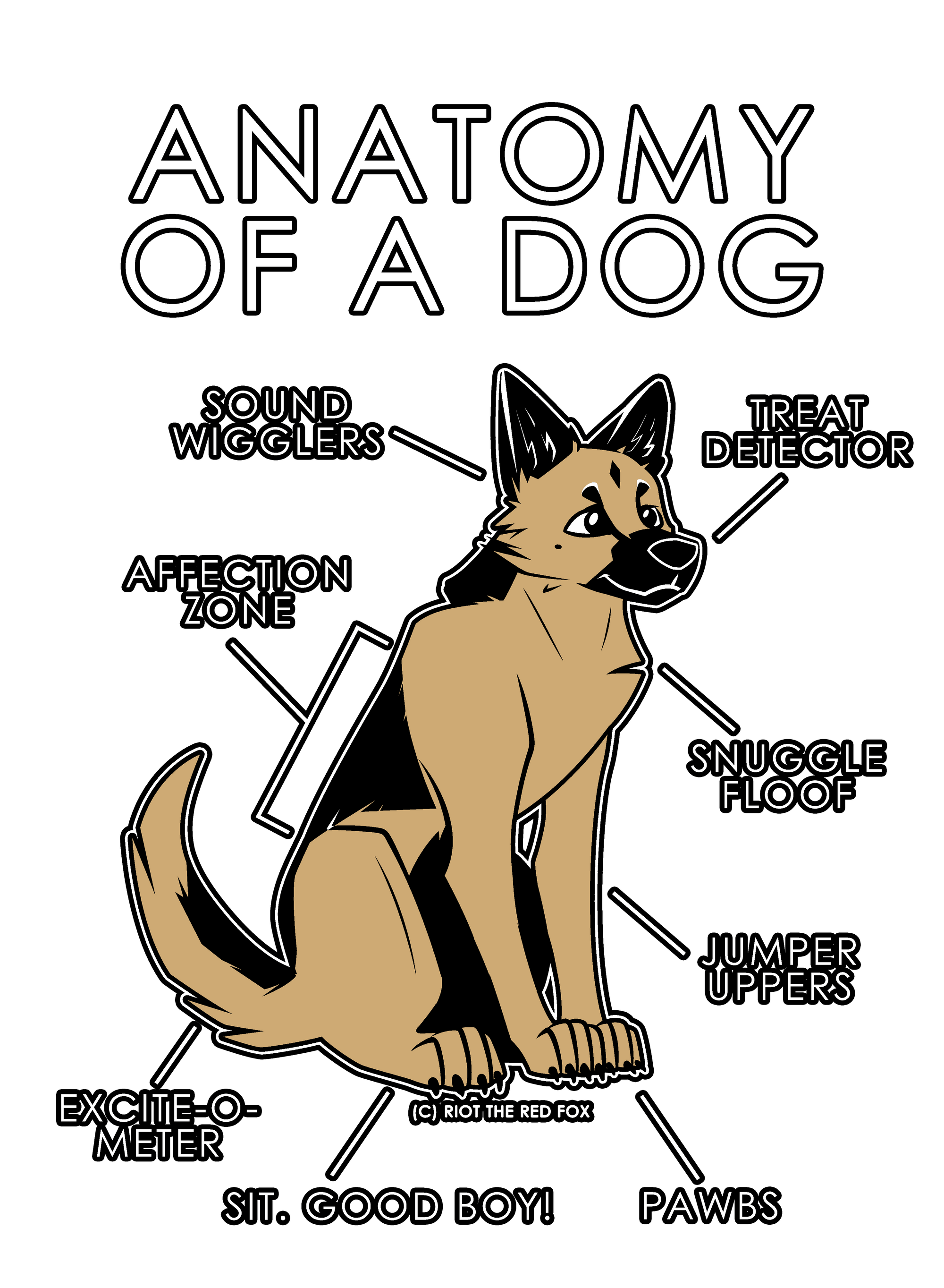 Anatomy Series - Gen 1 - Anatomy of a Dog