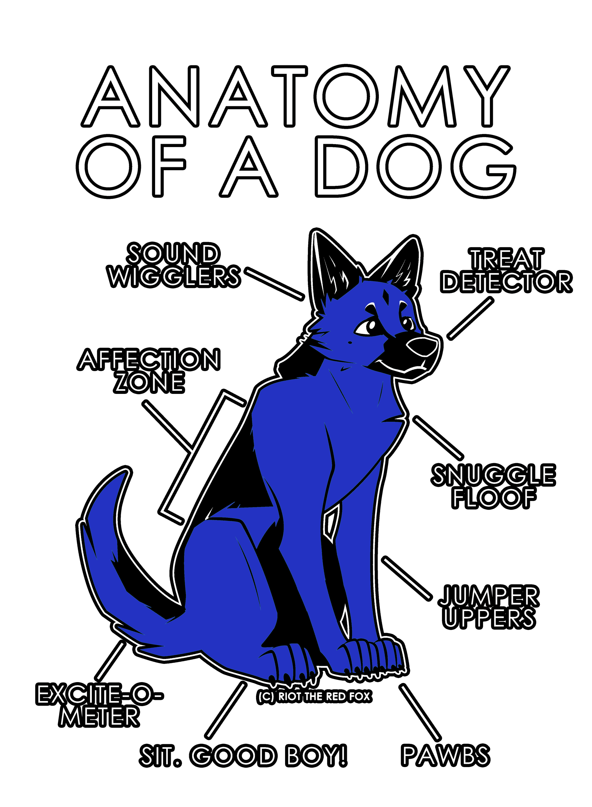 Anatomy Series - Gen 1 - Anatomy of a Dog - Blue