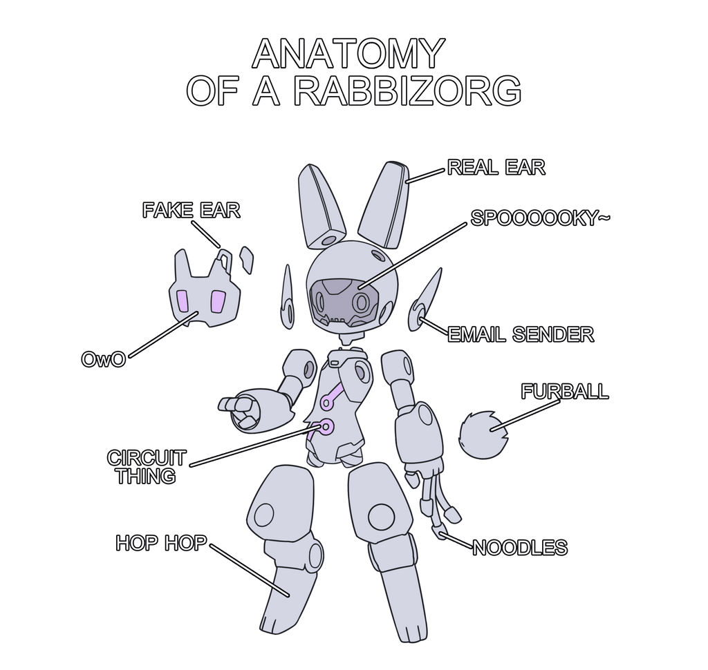 Anatomy of a Rabbizorg