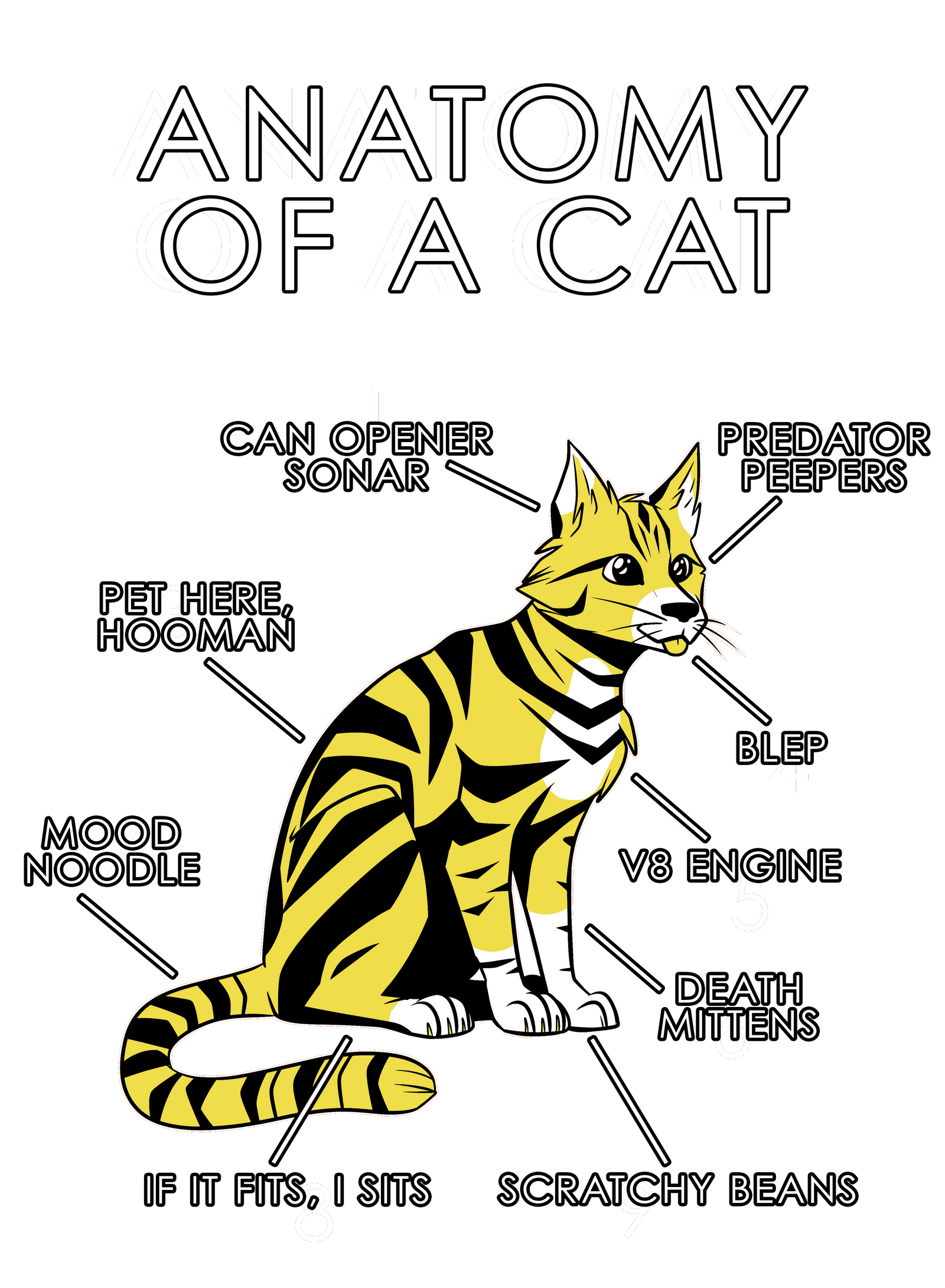 Anatomy Series - Gen 1 - Anatomy of a Cat - Yellow
