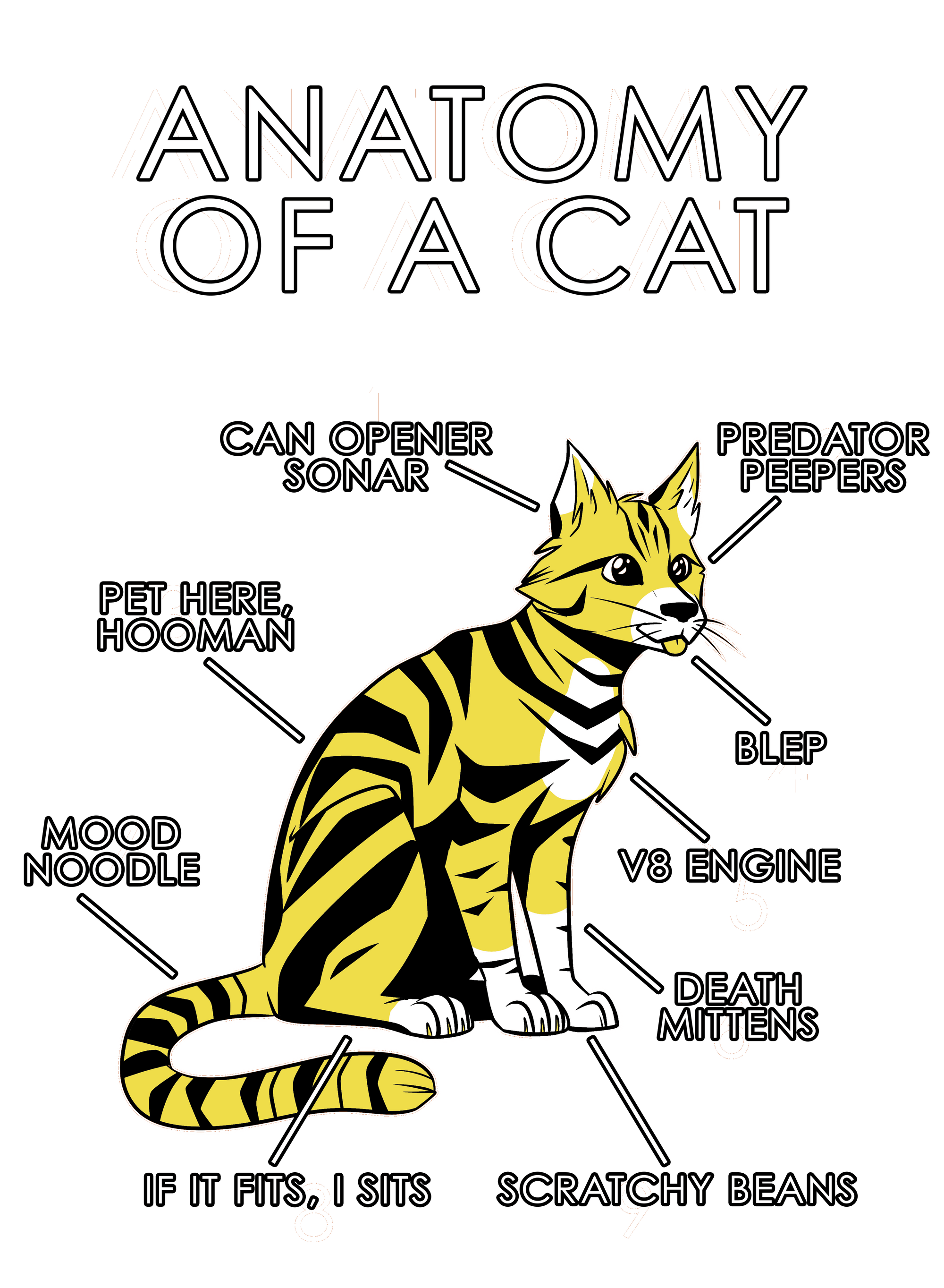 Anatomy Series - Gen 1 - Anatomy of a Cat - Yellow
