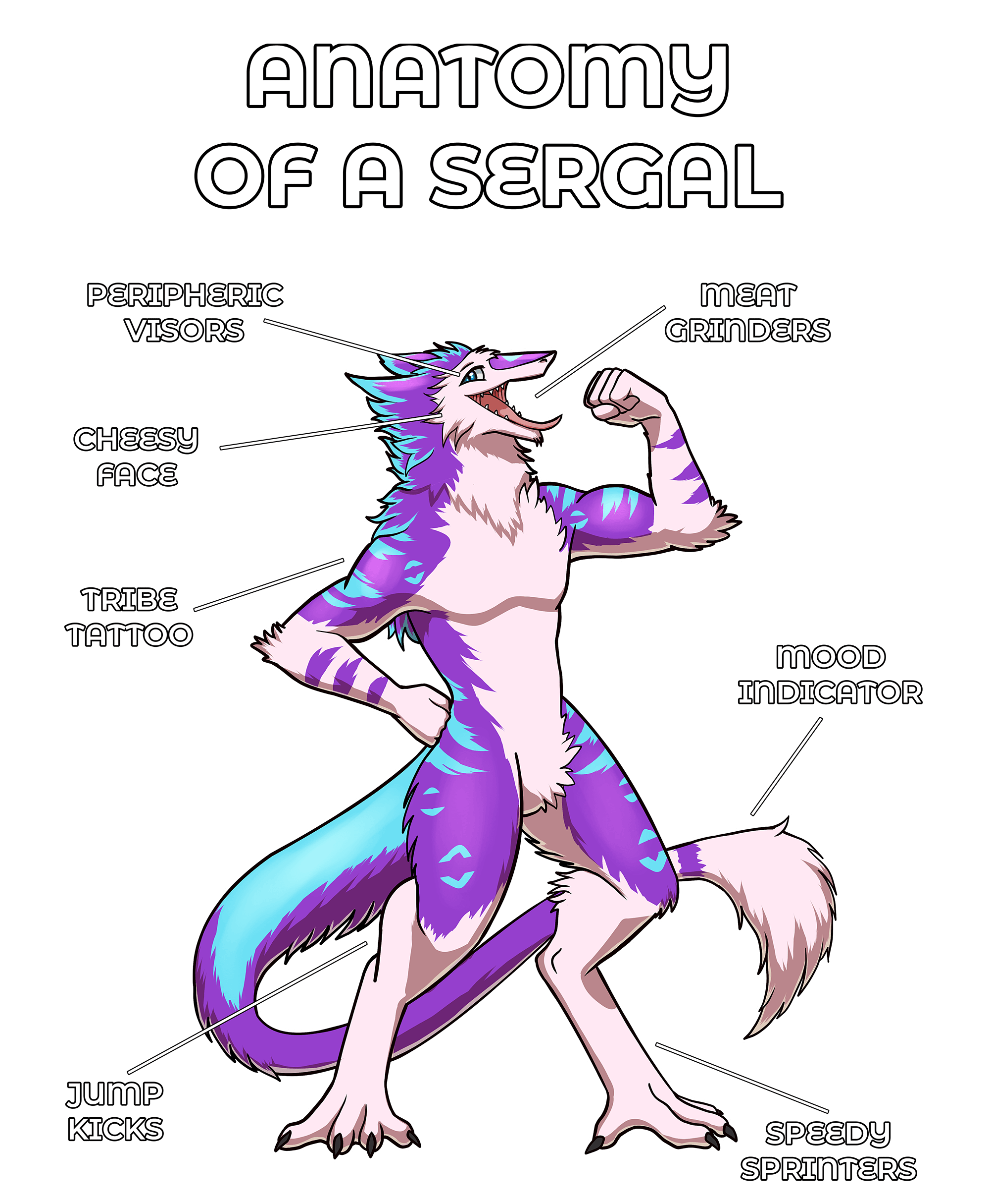 Anatomy Series - Gen 2 - Anatomy of a Sergal - Purple