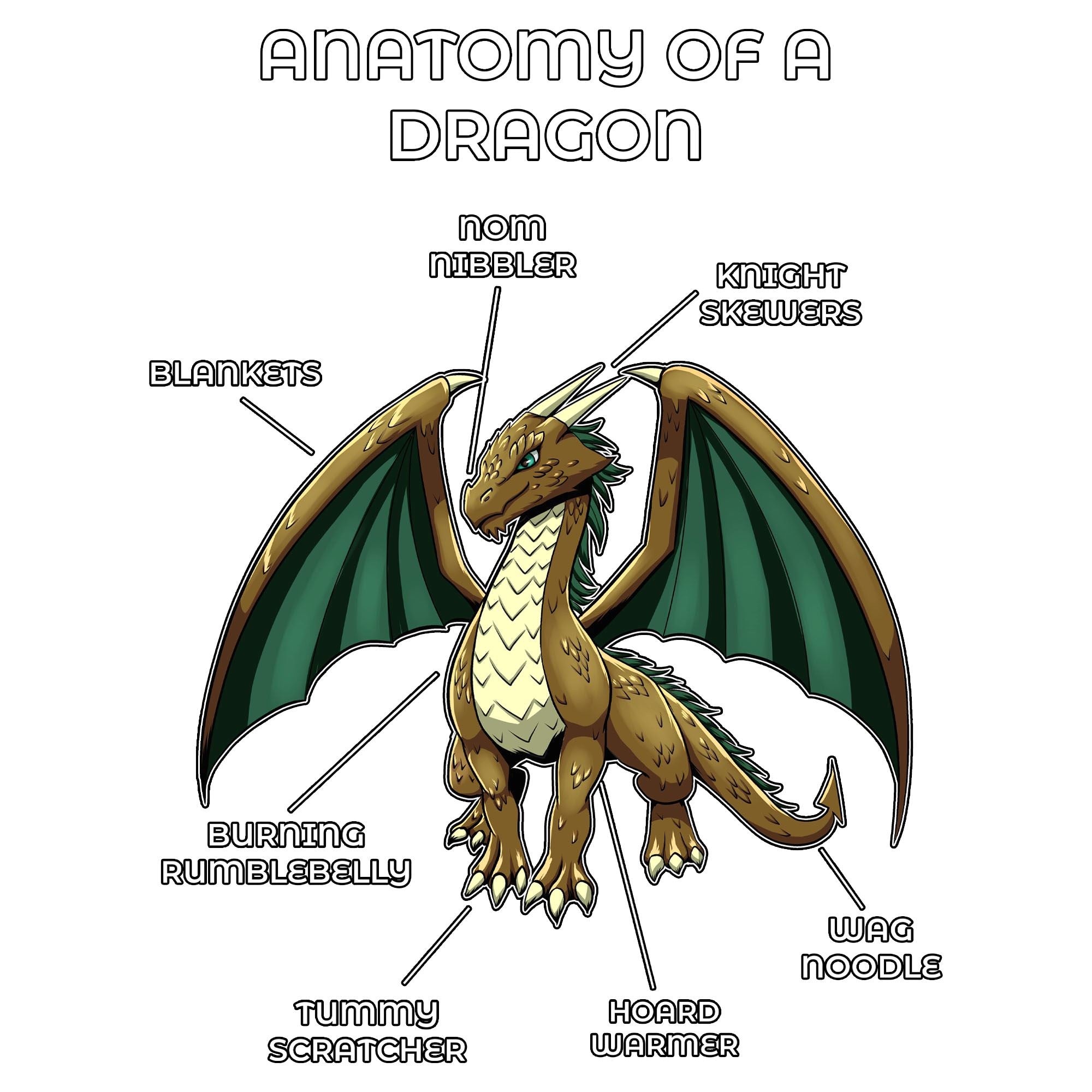 Anatomy Series - Gen 2 - Anatomy of a Dragon