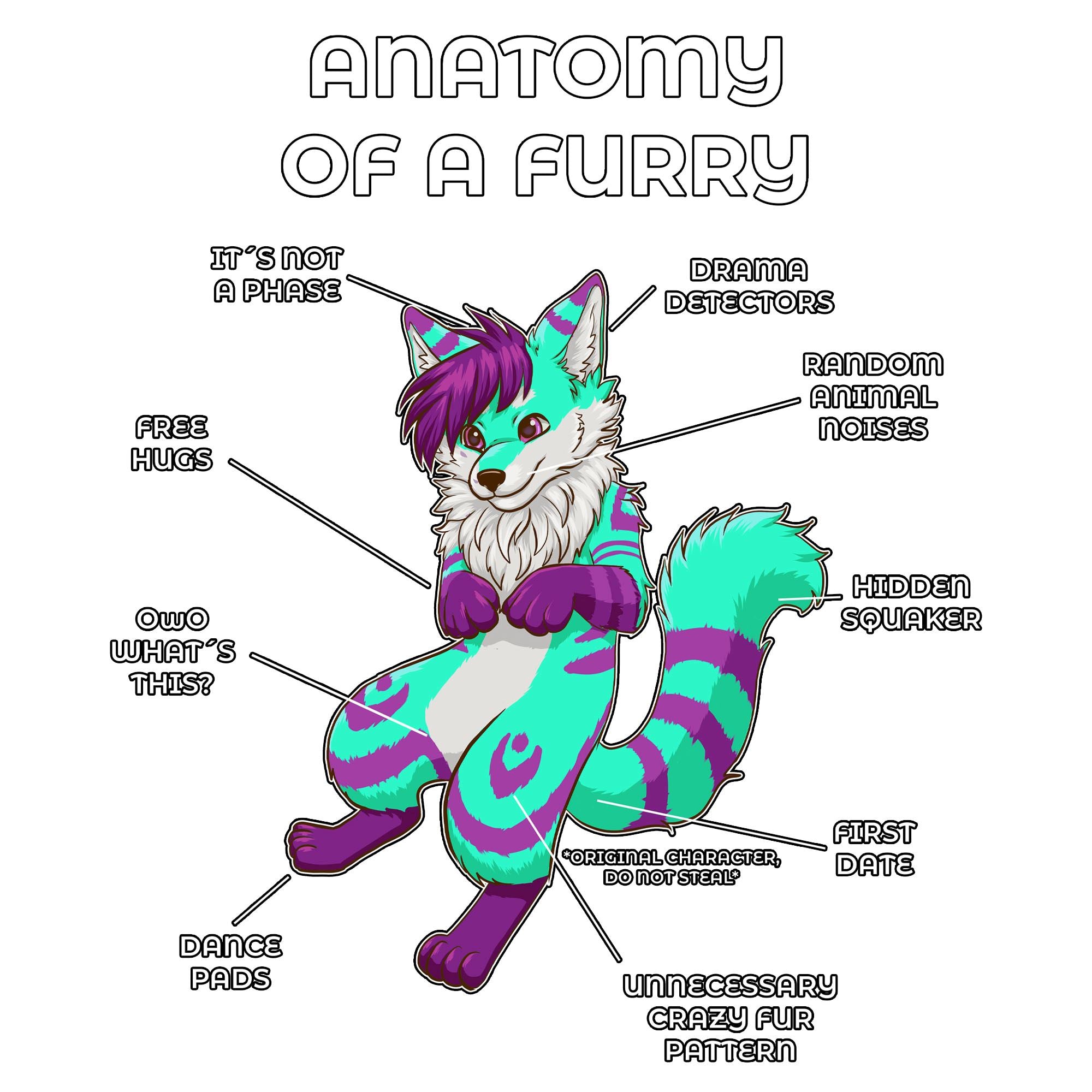 Anatomy Series - Gen 2 - Anatomy of a Furry - Green and Pink