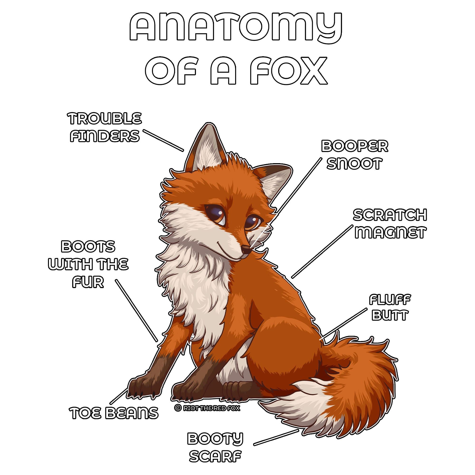 Anatomy Series - Gen 2 - Anatomy of a Fox - Red