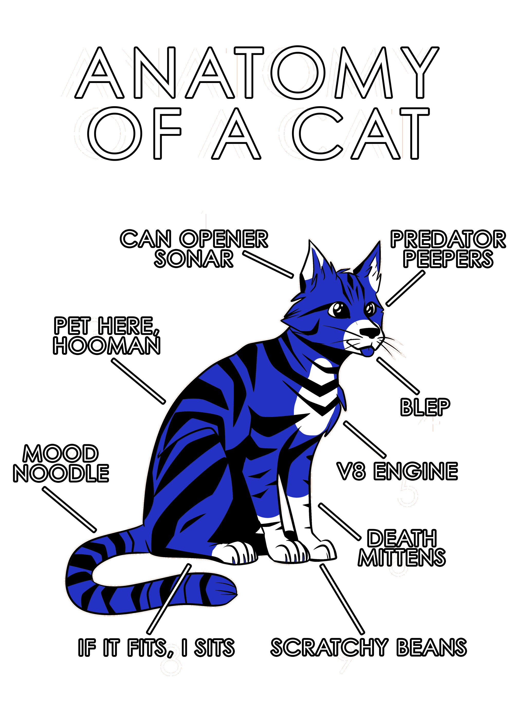 Anatomy Series - Gen 1 - Anatomy of a Cat - Blue