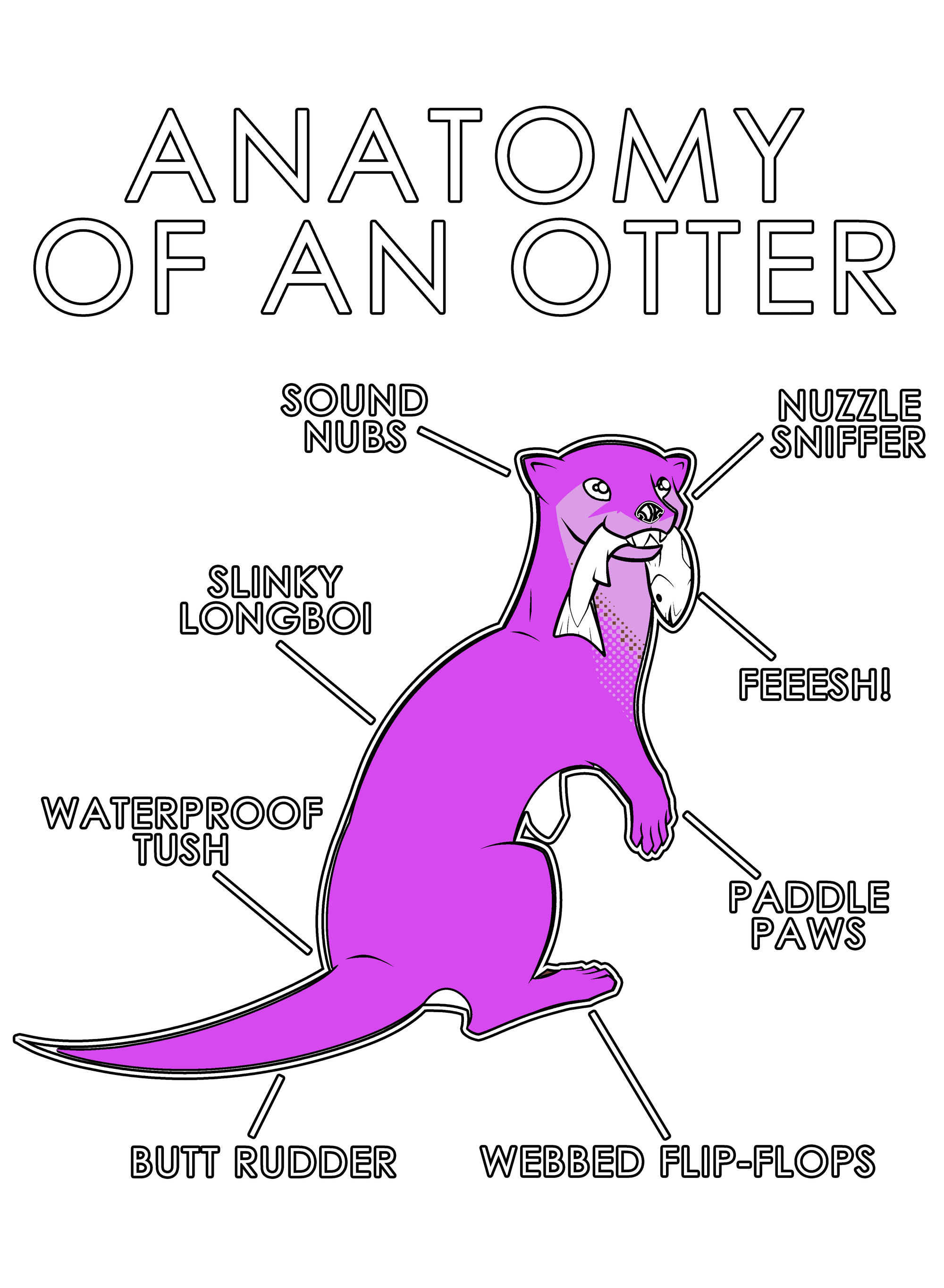 Anatomy Series - Gen 1 - Anatomy of an Otter - Pink