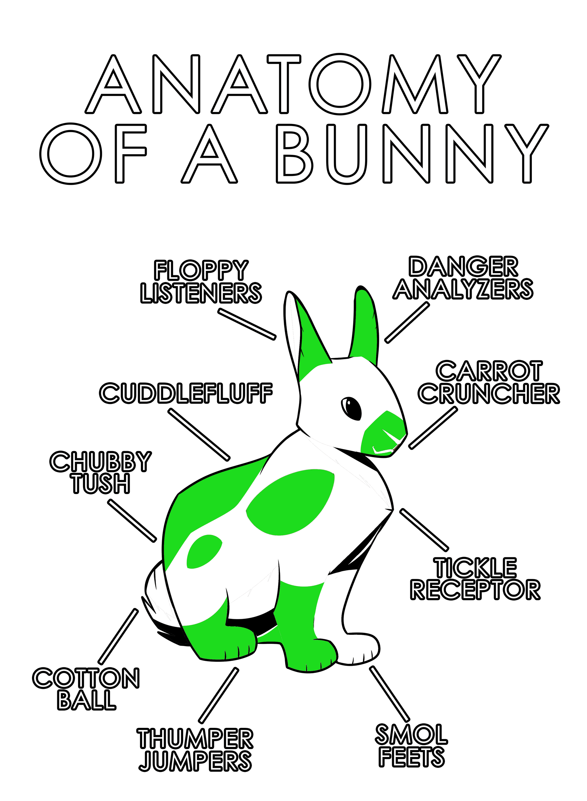 Anatomy Series - Gen 1 - Anatomy of a Bunny - Green