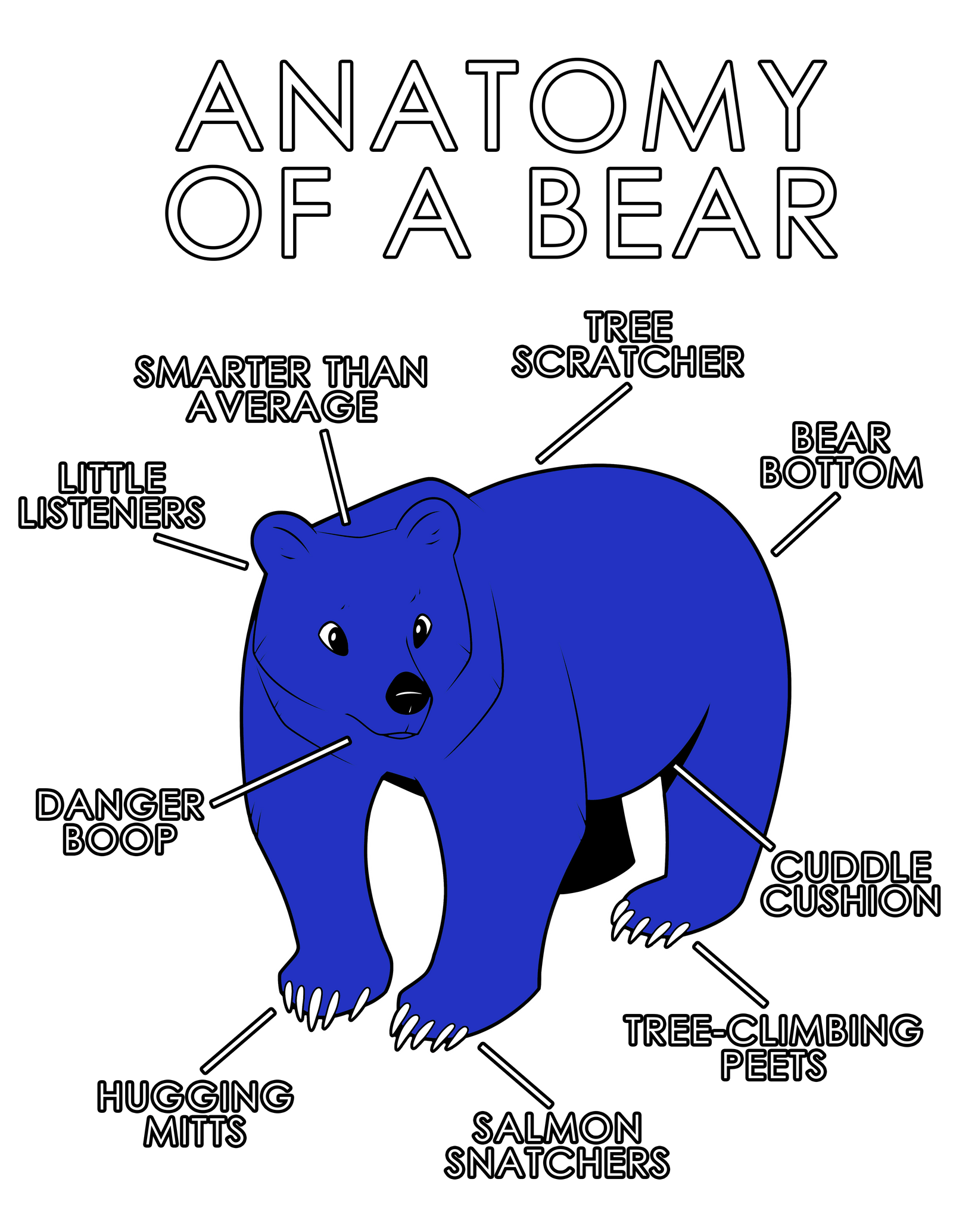 Anatomy Series - Gen 1 - Anatomy of a Bear - Blue