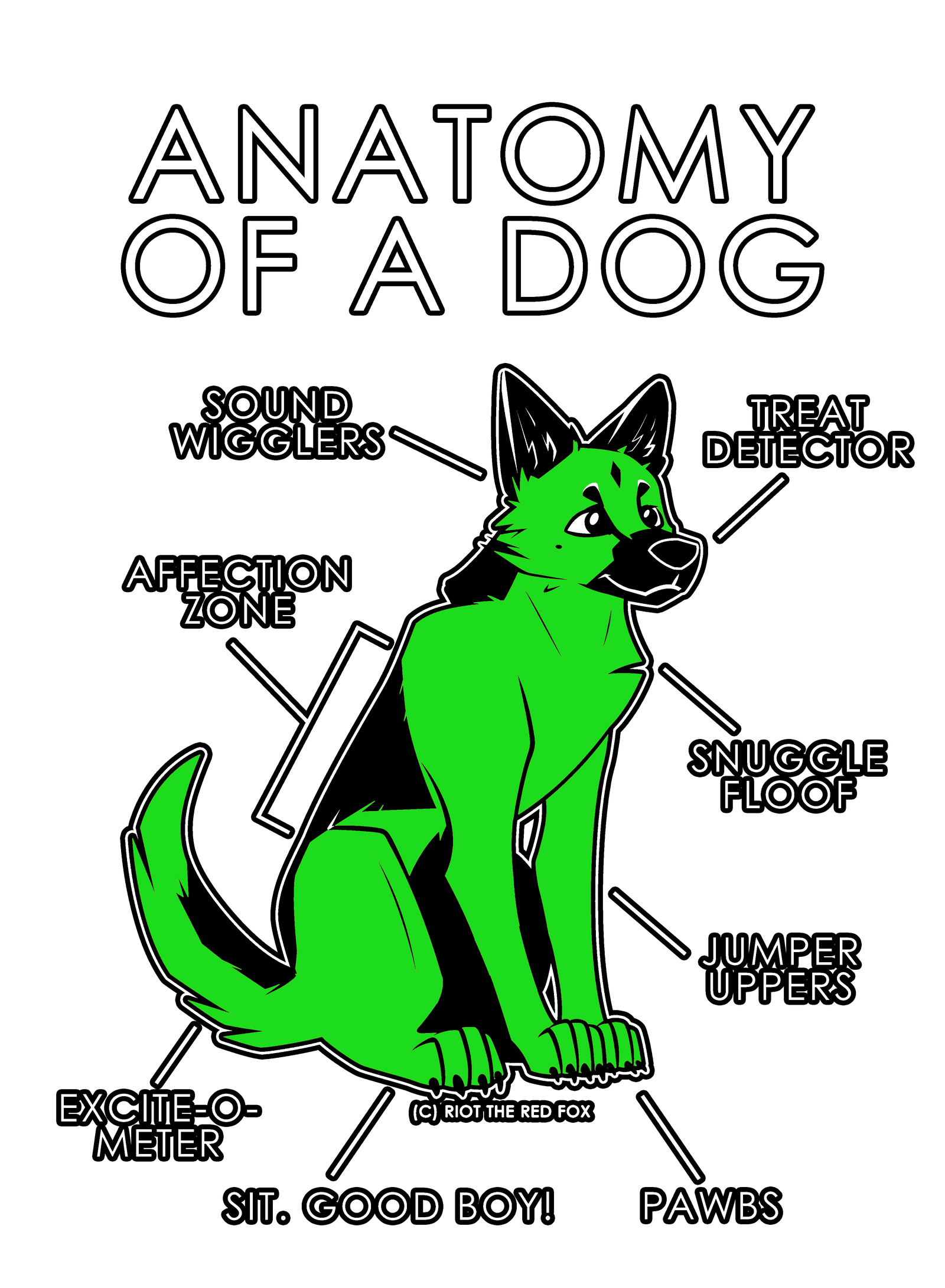 Anatomy Series - Gen 1 - Anatomy of a Dog - Green