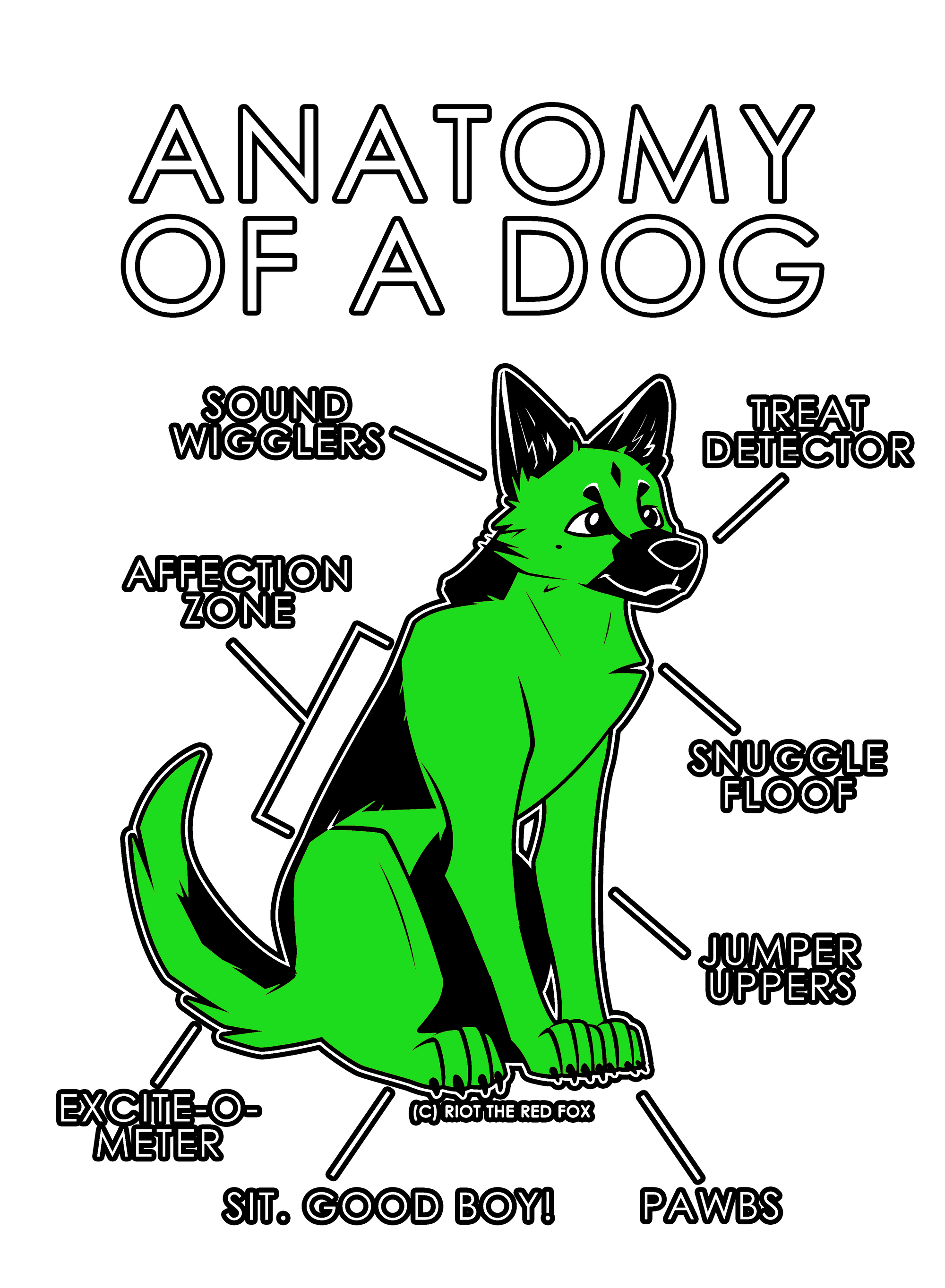 Anatomy Series - Gen 1 - Anatomy of a Dog - Green