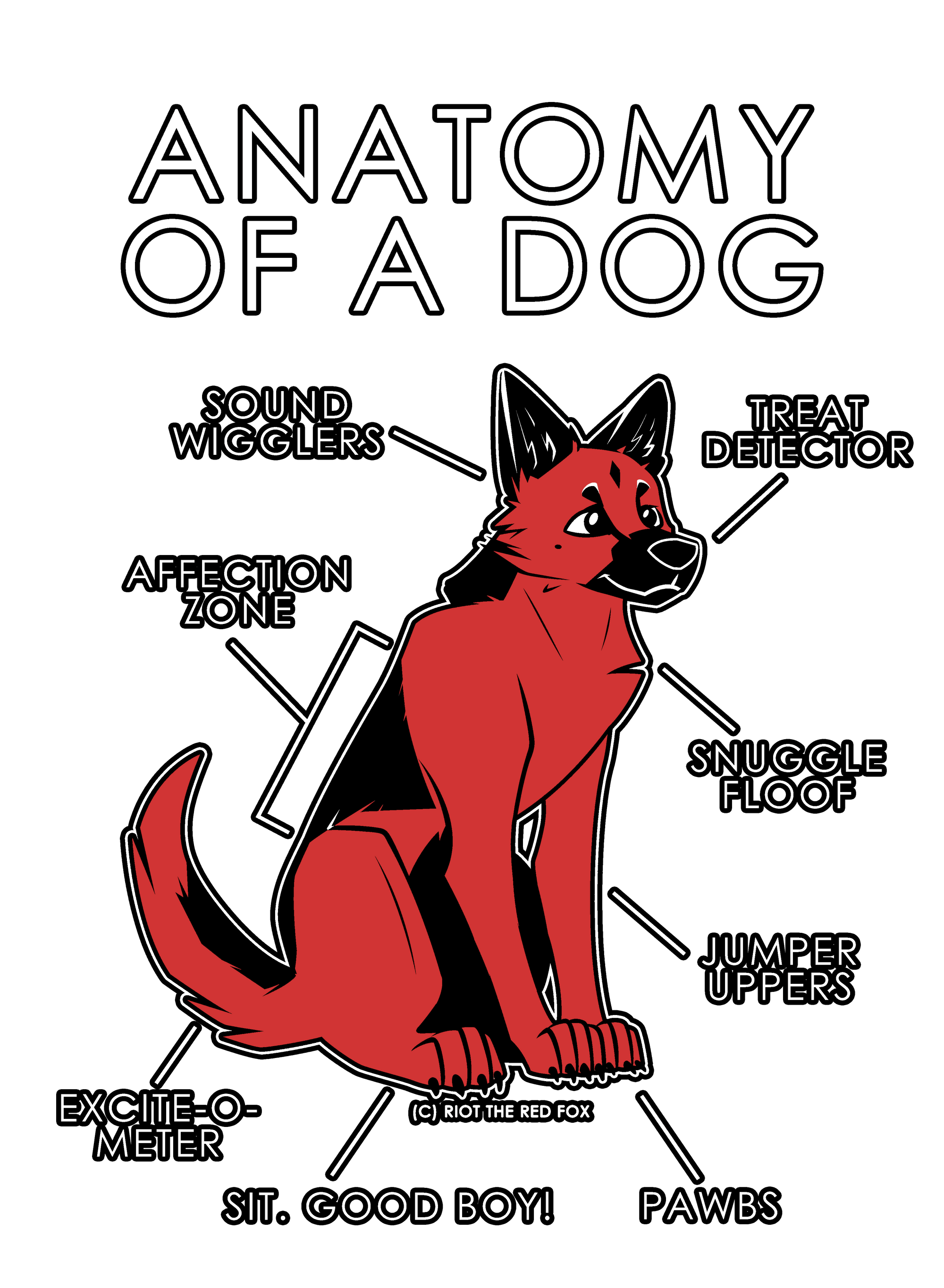 Anatomy Series - Gen 1 - Anatomy of a Dog - Red