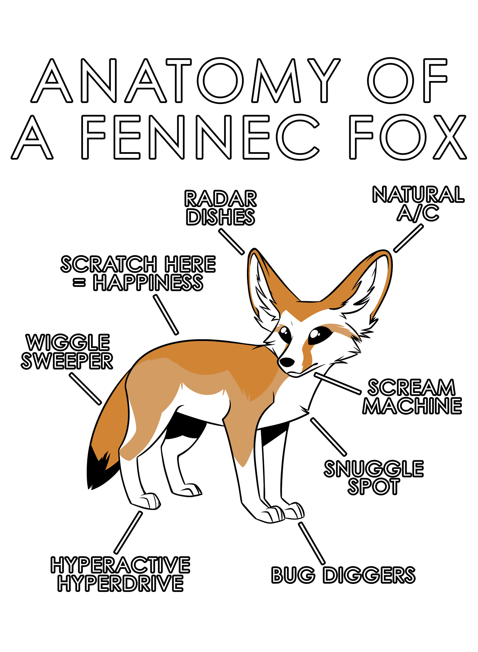 Anatomy Series - Gen 1 - Anatomy of a Fennec
