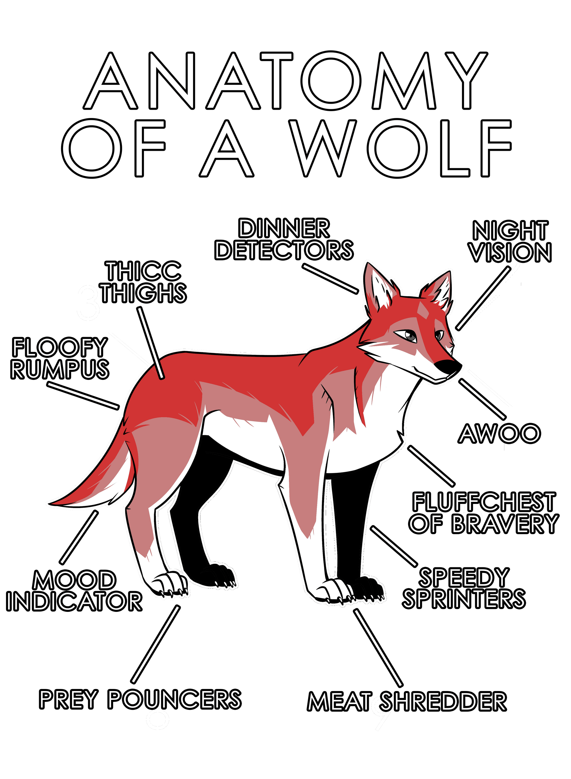 Anatomy Series - Gen 1 - Anatomy of a Wolf - Red