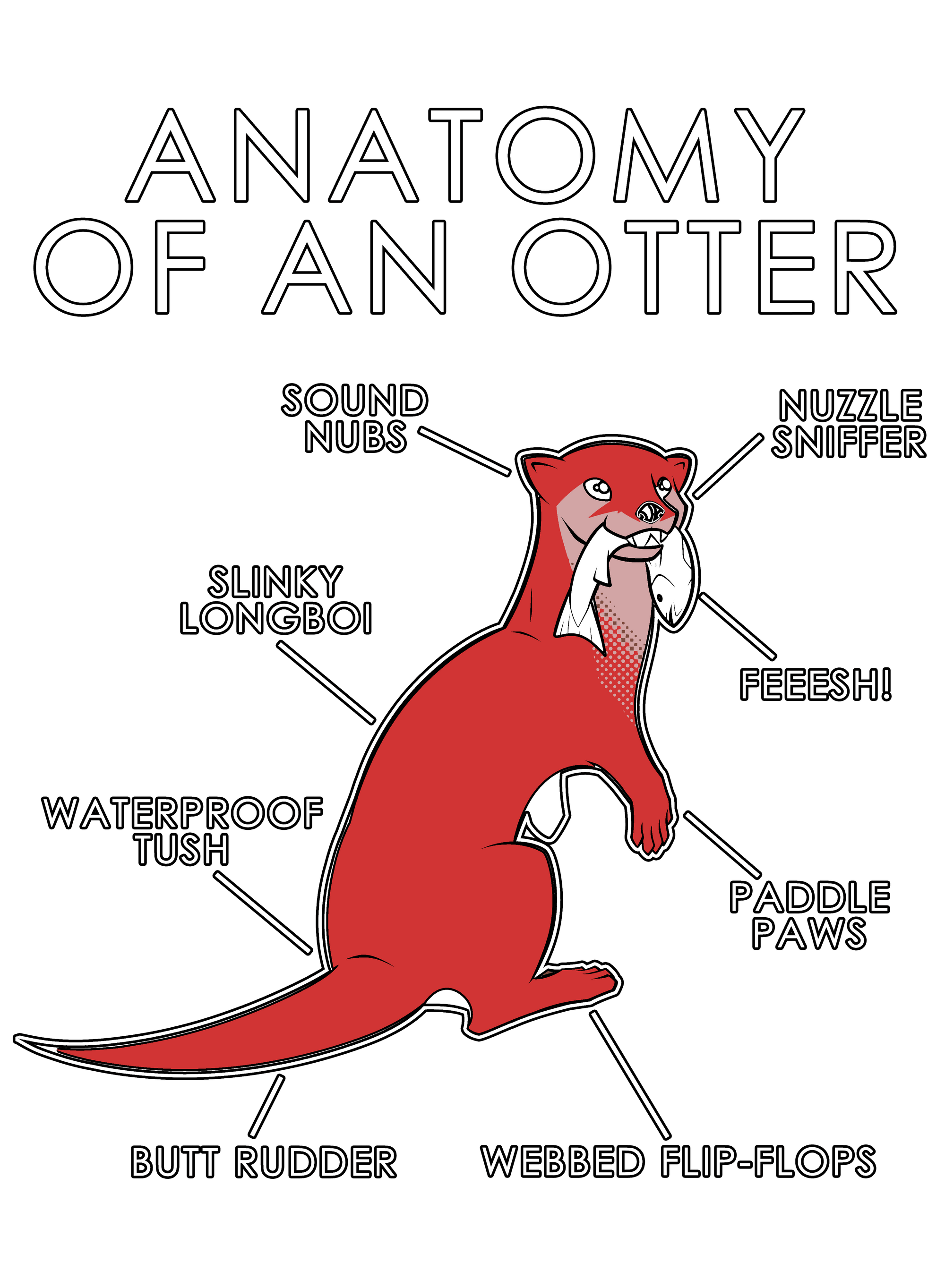 Anatomy Series - Gen 1 - Anatomy of an Otter - Red