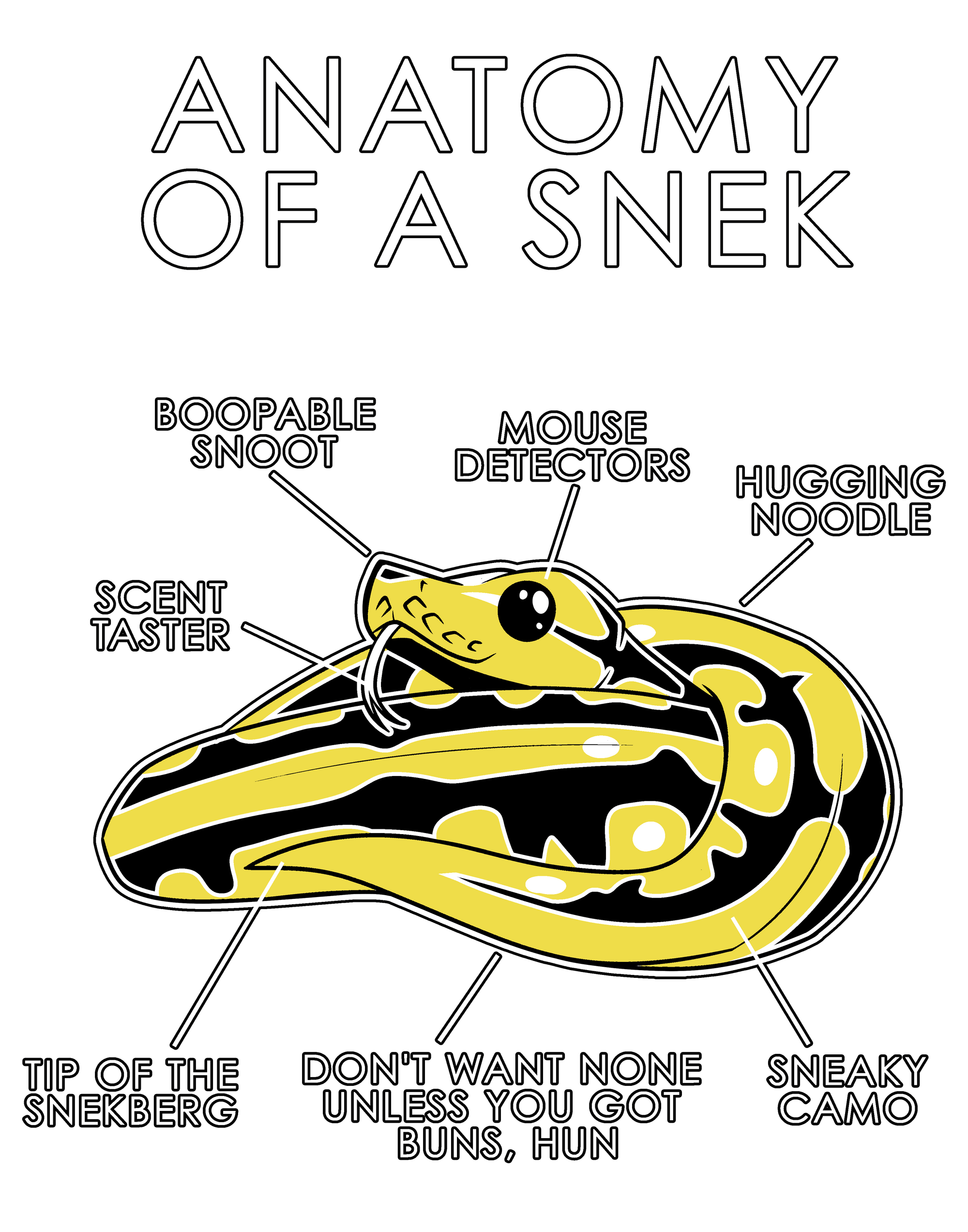Anatomy Series - Gen 1 - Anatomy of a Snek - Yellow