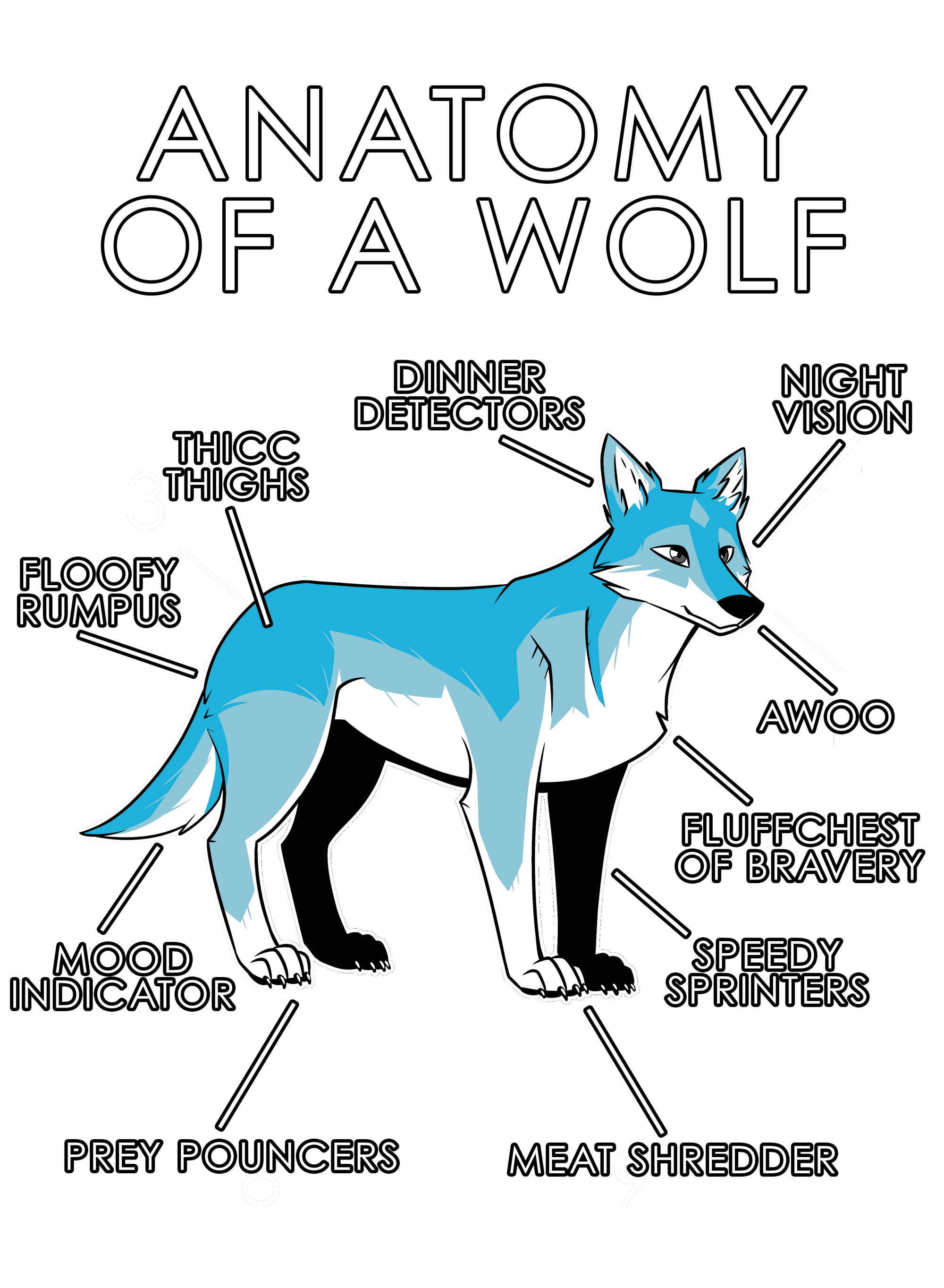 Anatomy Series - Gen 1 - Anatomy of a Wolf - Light Blue