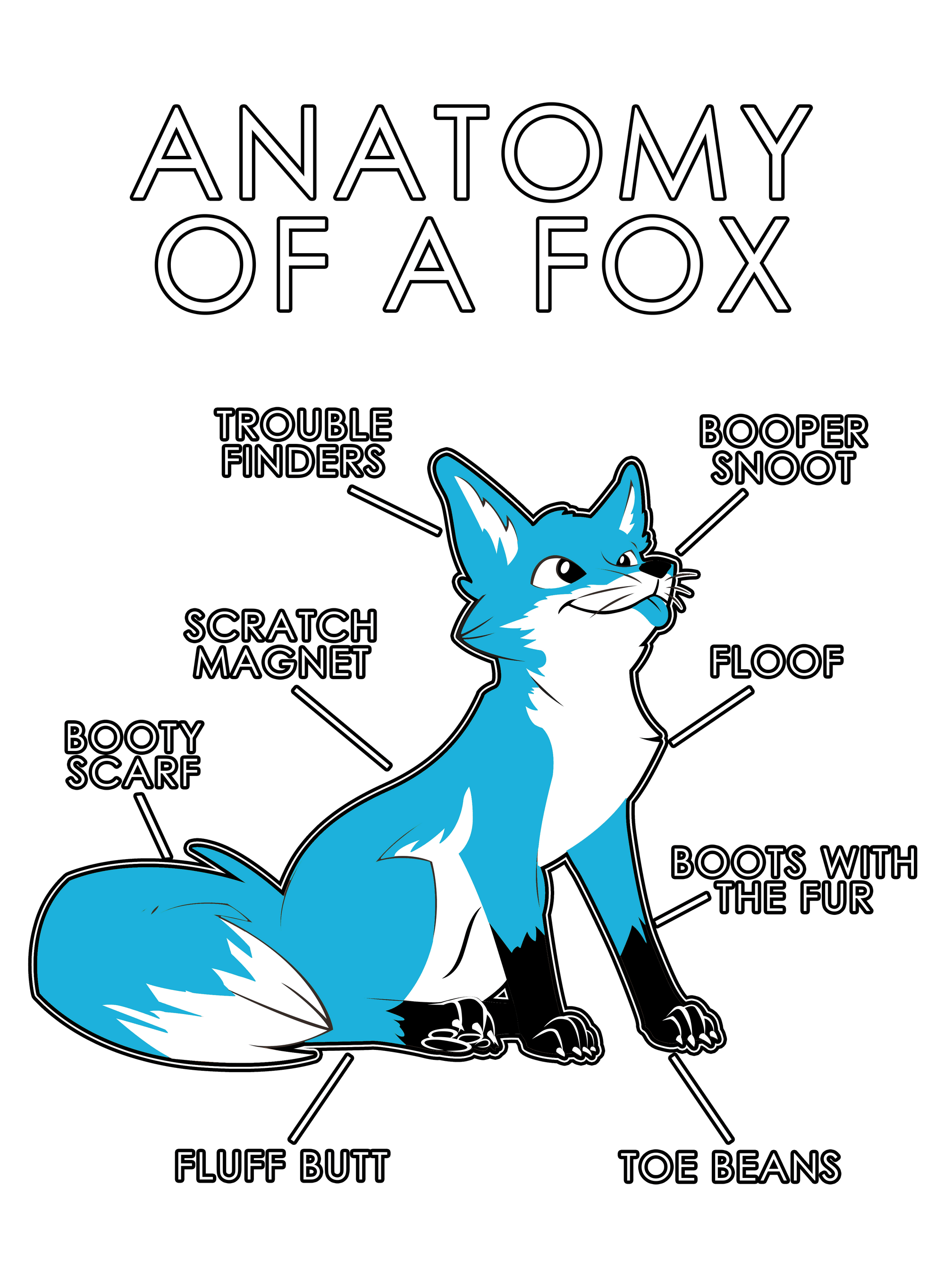 Anatomy Series - Gen 1 - Anatomy of a Fox - Light Blue