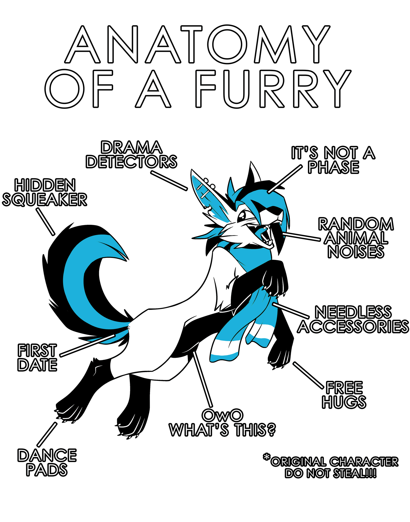 Anatomy Series - Gen 1 - Anatomy of a Furry - Light Blue