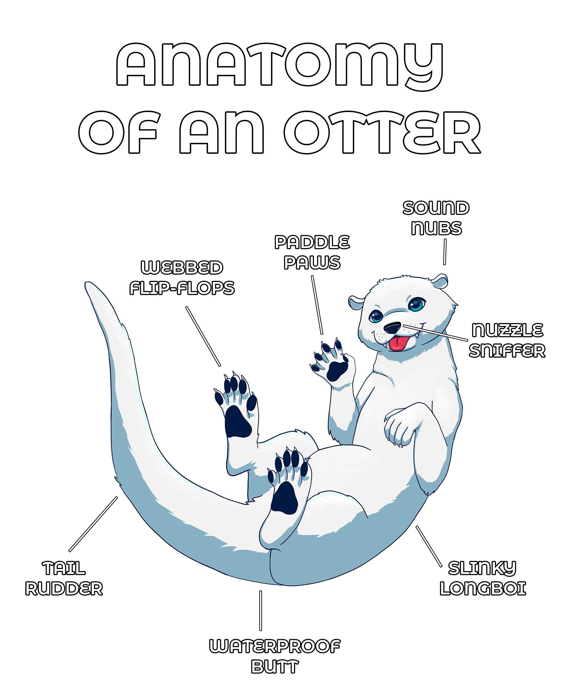 Anatomy Series - Gen 2 - Anatomy of an Otter - White