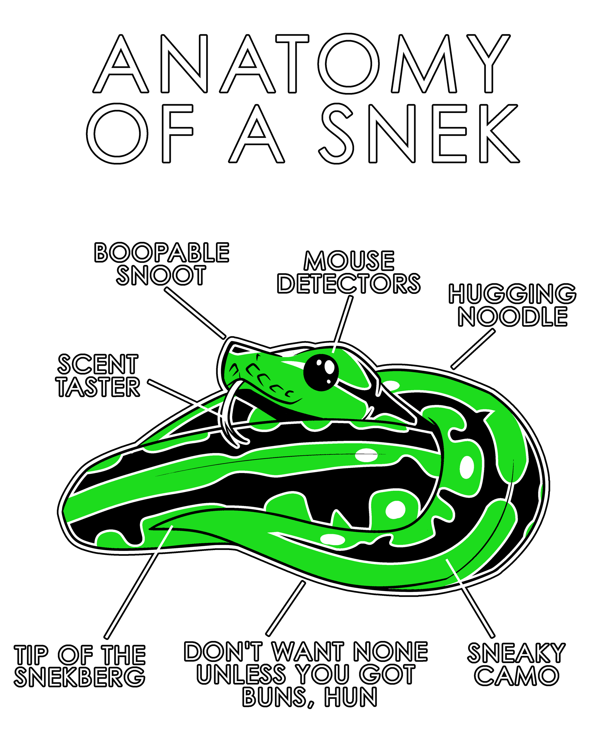 Anatomy Series - Gen 1 - Anatomy of a Snek - Green