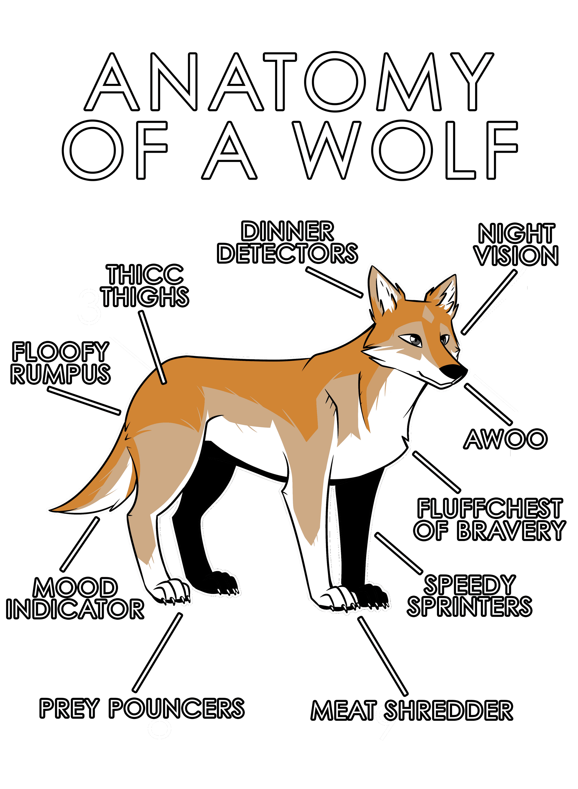 Anatomy Series - Gen 1 - Anatomy of a Wolf - Orange