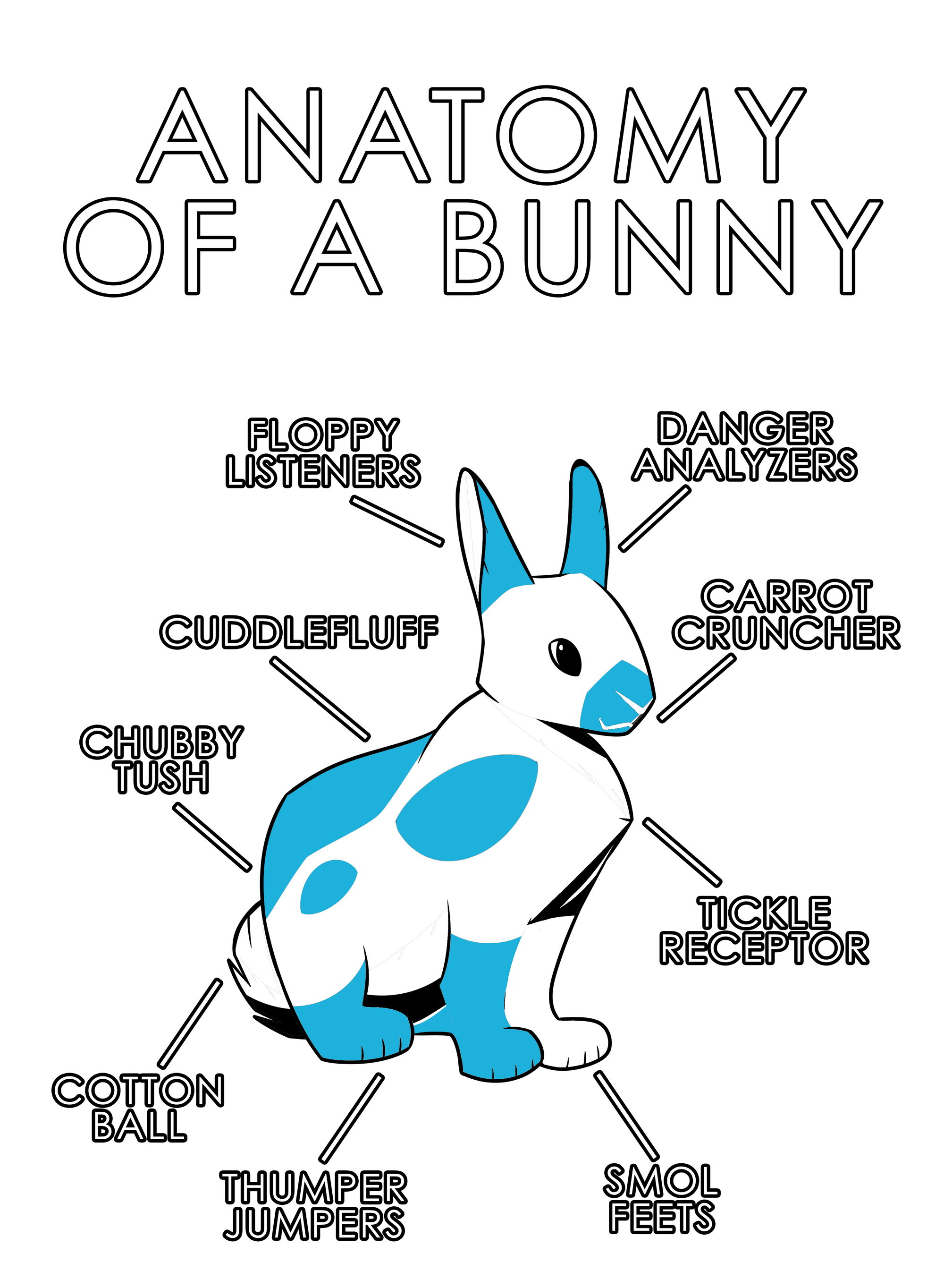 Anatomy Series - Gen 1 - Anatomy of a Bunny - Light Blue