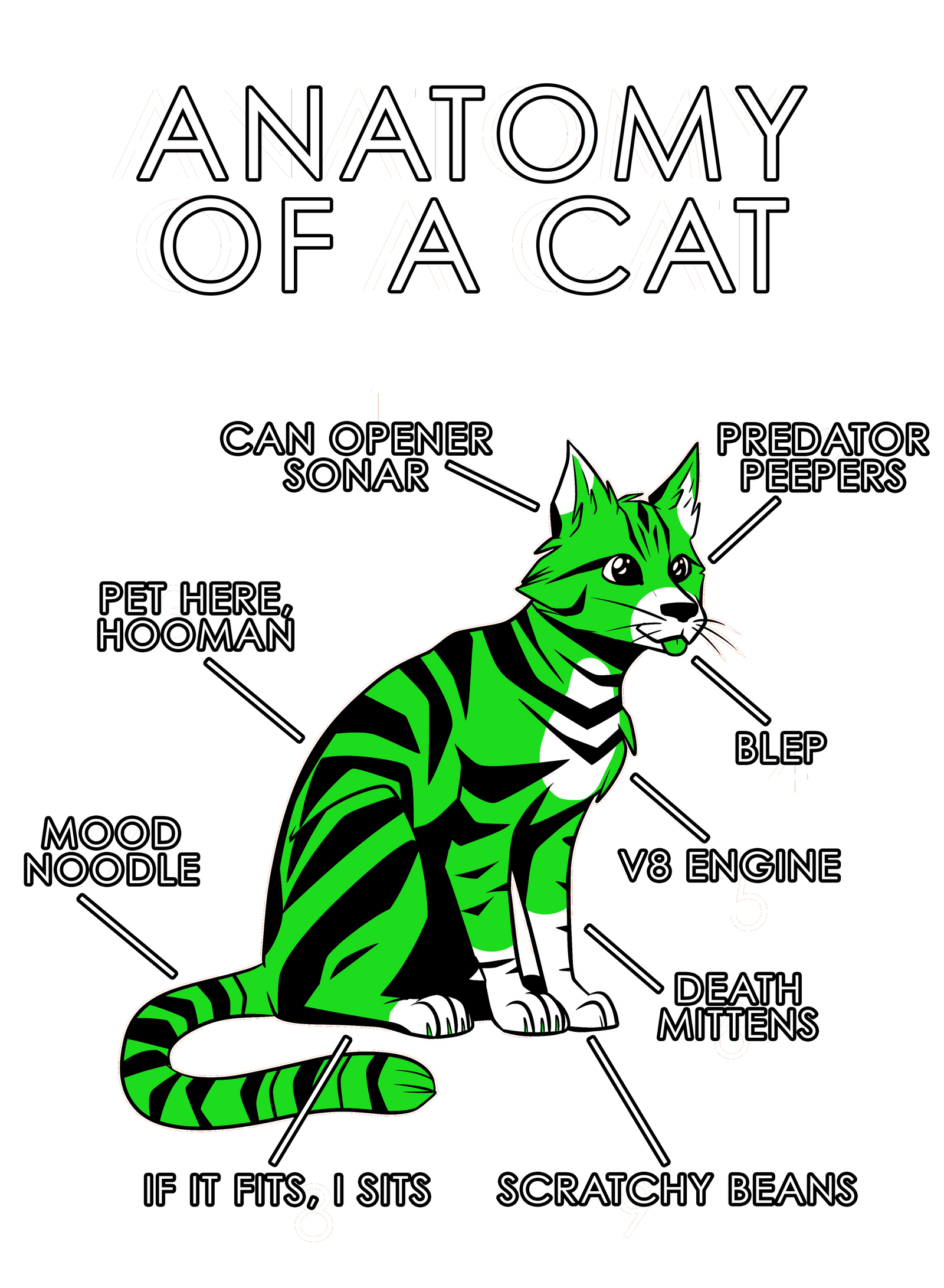 Anatomy Series - Gen 1 - Anatomy of a Cat - Green