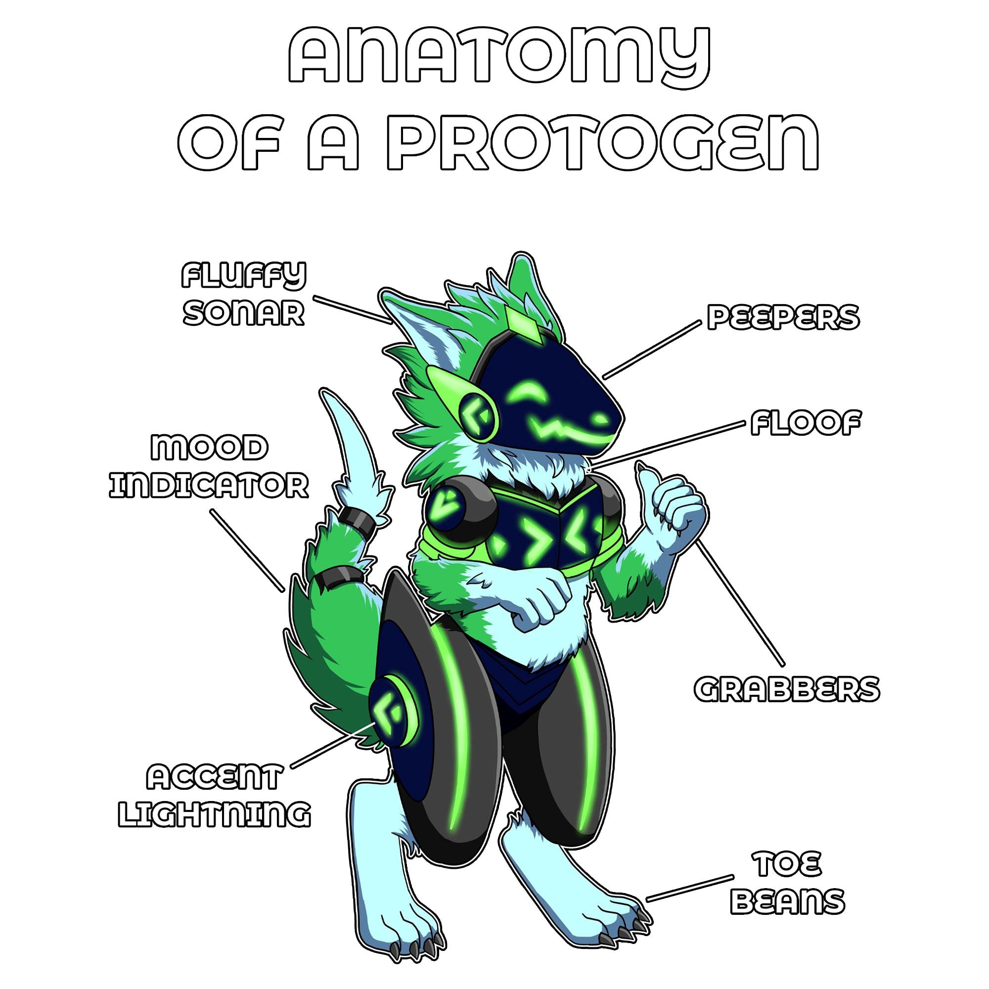 Anatomy Series - Gen 2 - Anatomy of a Protogen - Green