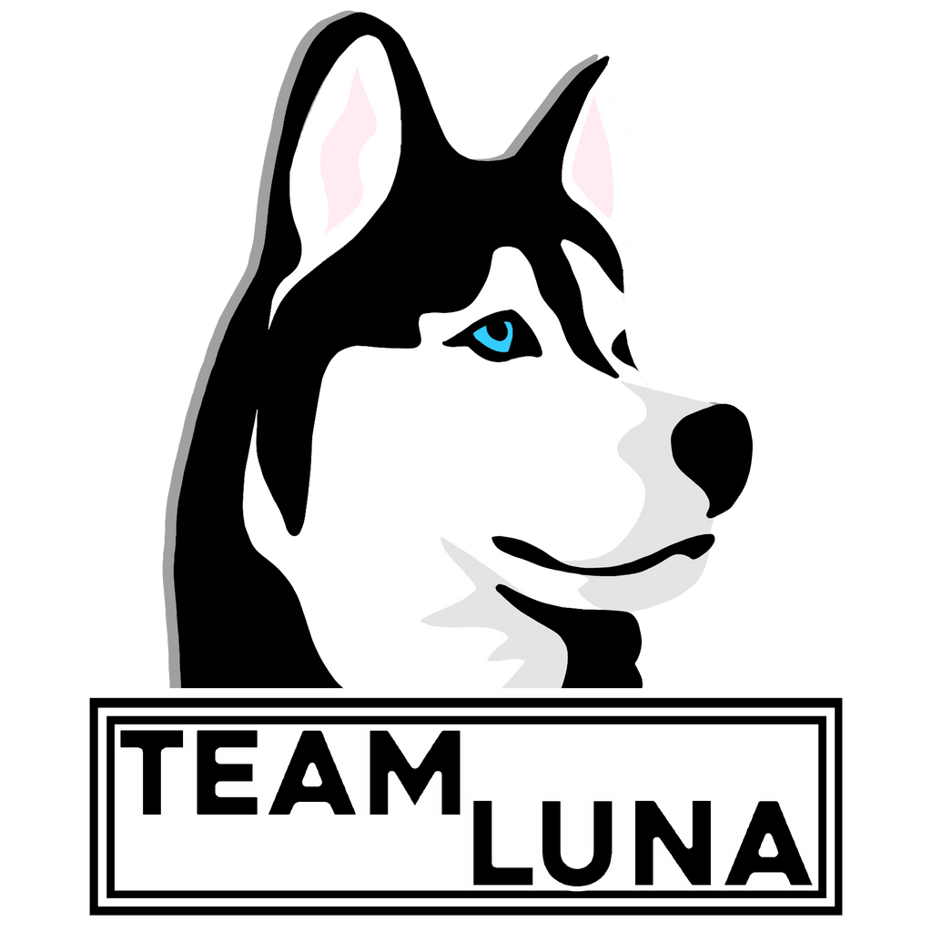 Team Luna