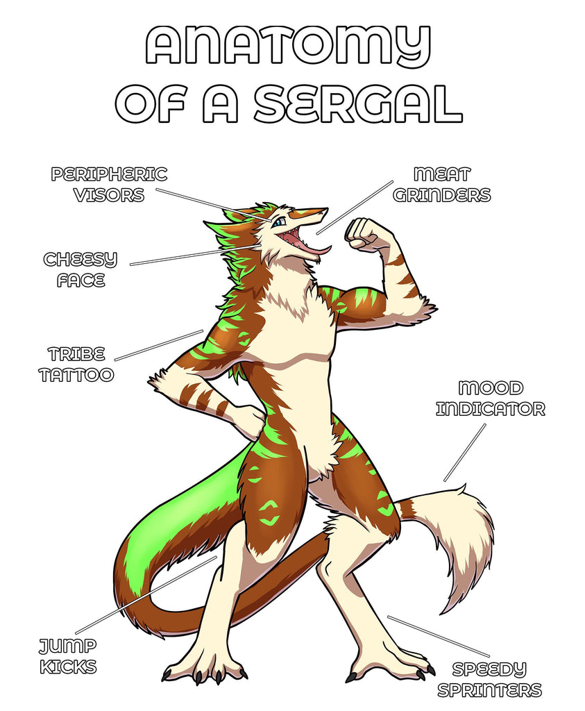 Anatomy of a Sergal