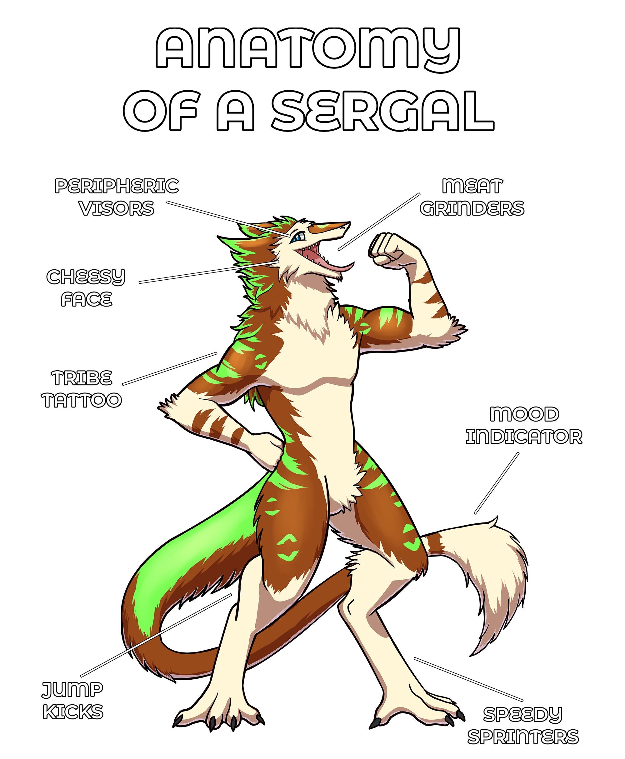 Anatomy Series - Gen 2 - Anatomy of a Sergal