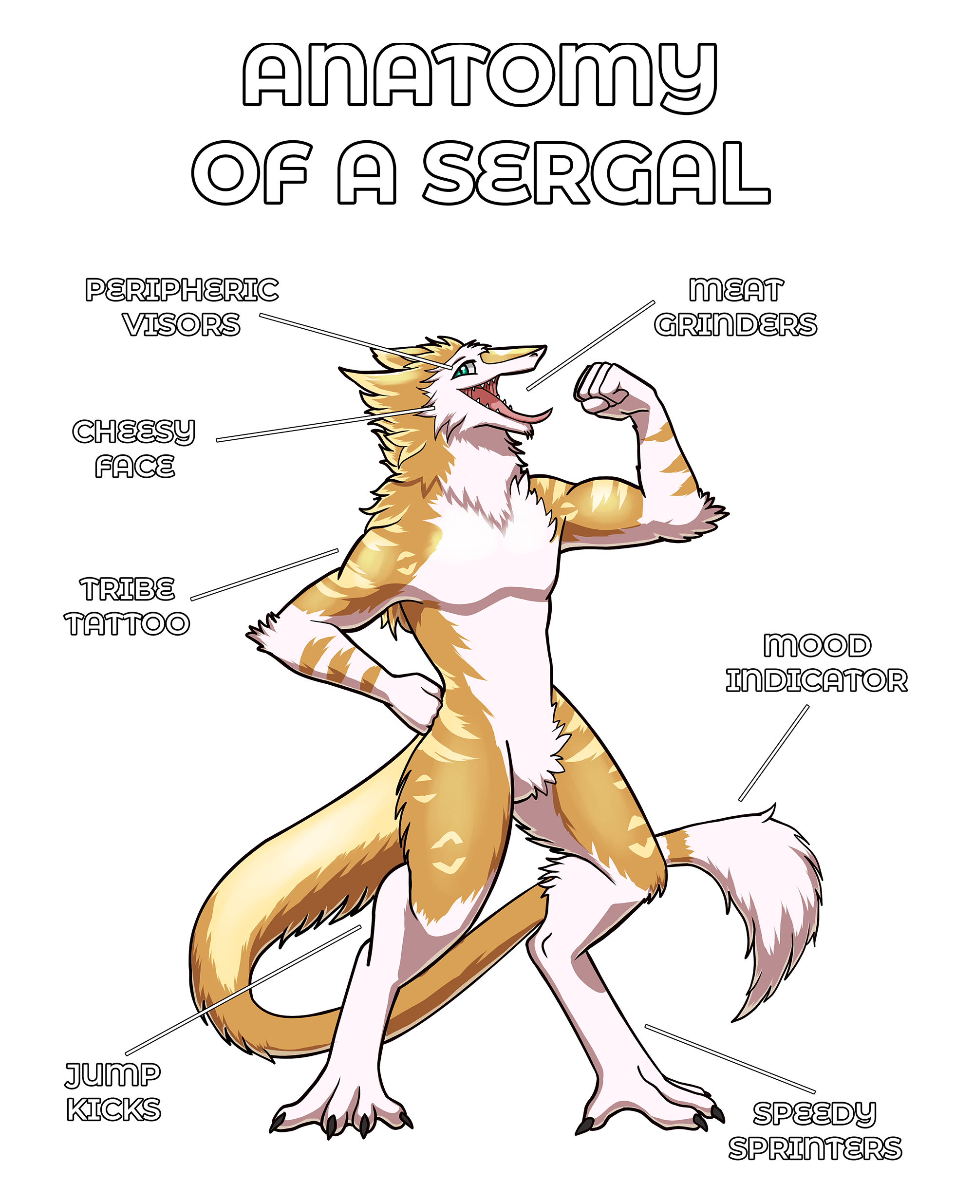 Anatomy Series - Gen 2 - Anatomy of a Sergal - Yellow