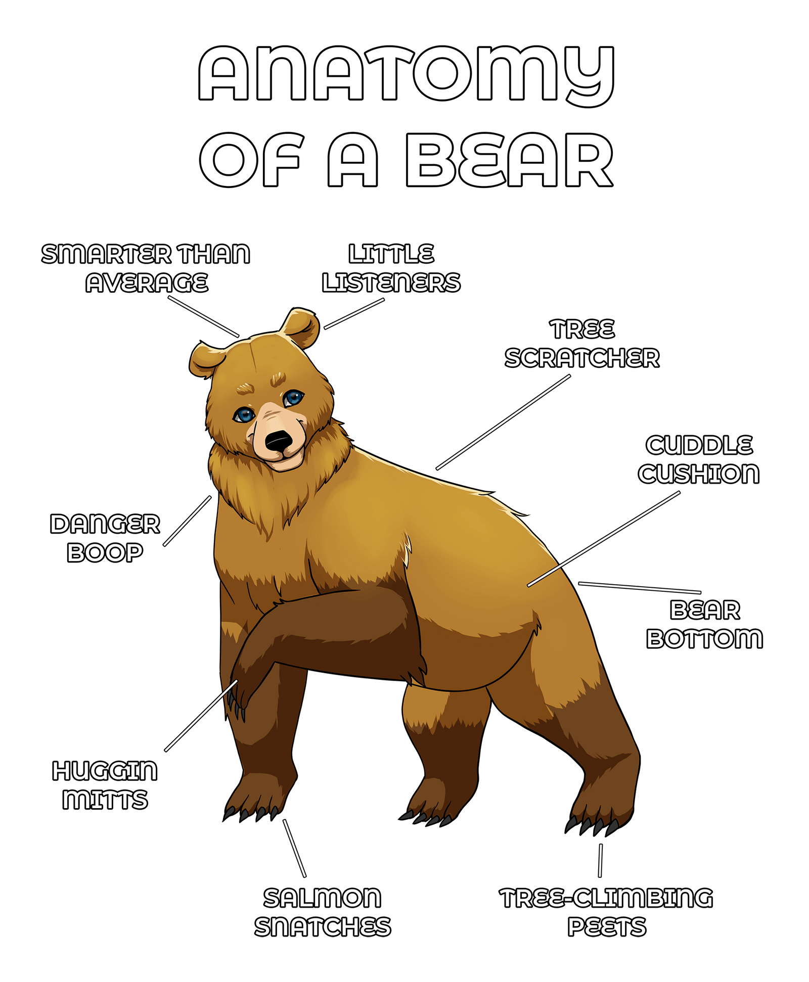Anatomy Series - Gen 2 - Anatomy of a Bear - Yellow