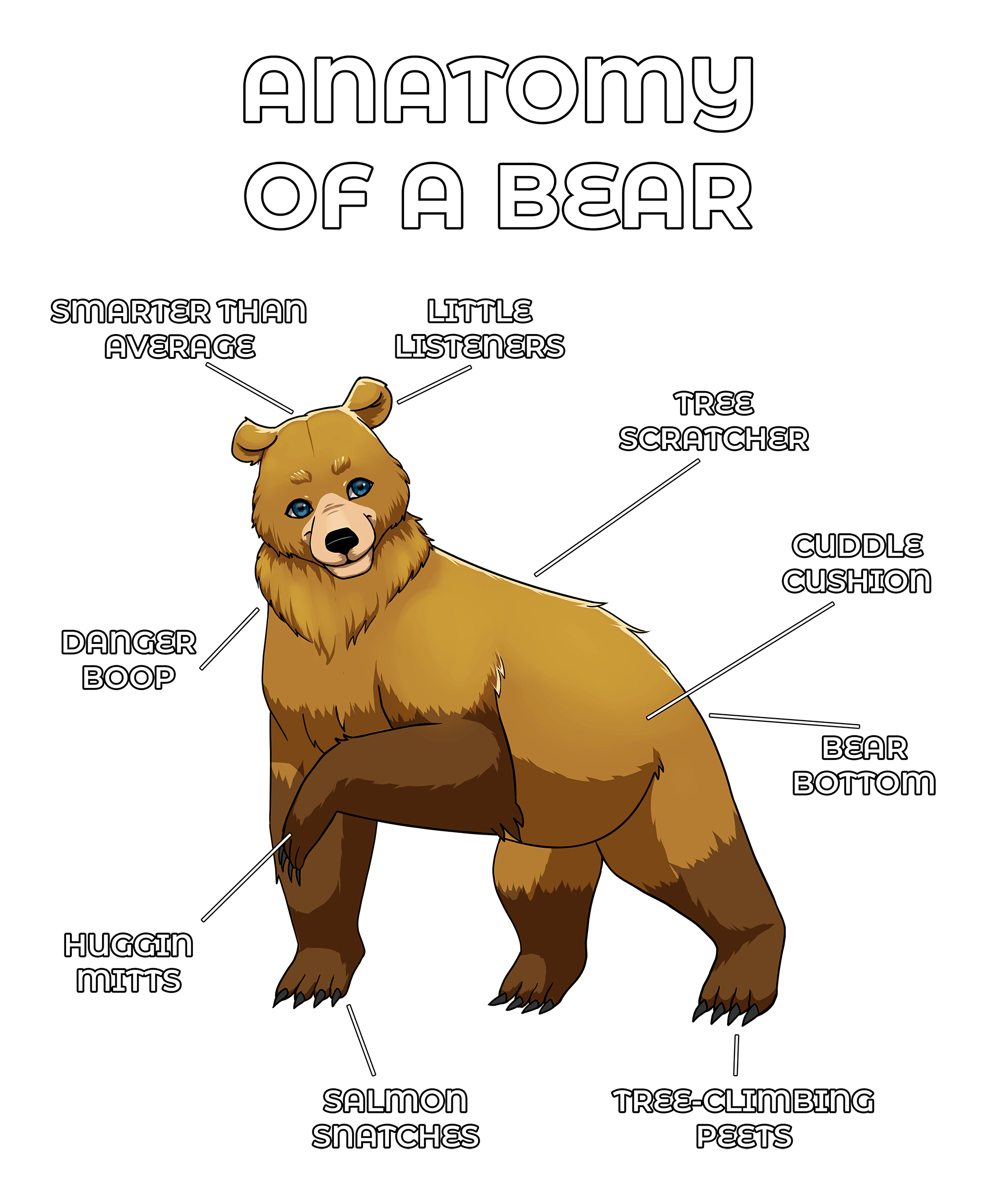 Anatomy Series - Gen 2 - Anatomy of a Bear - Yellow